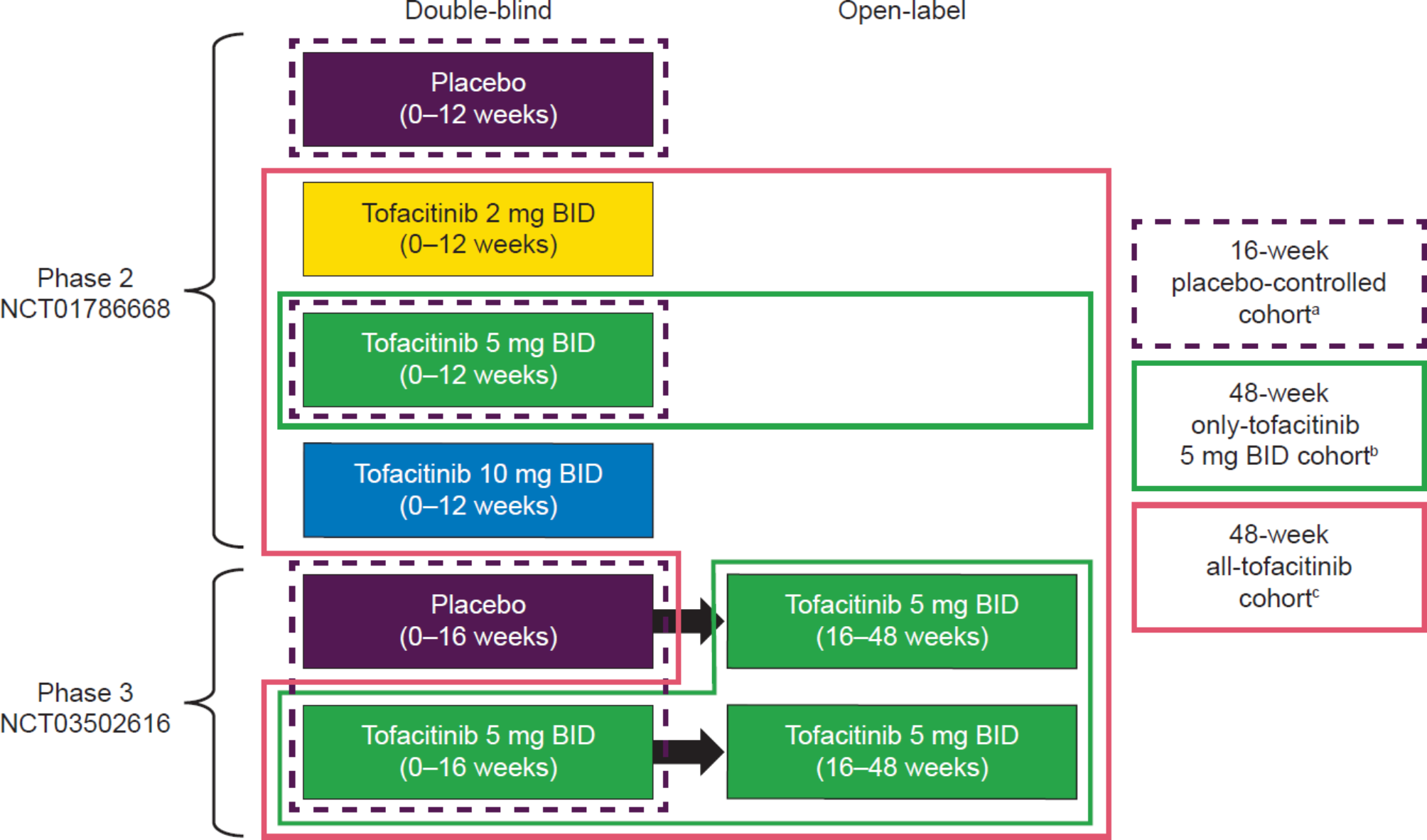 Integrated safety analysis of tofacitinib from Phase 2 and 3 trials of patients with ankylosing spondylitis