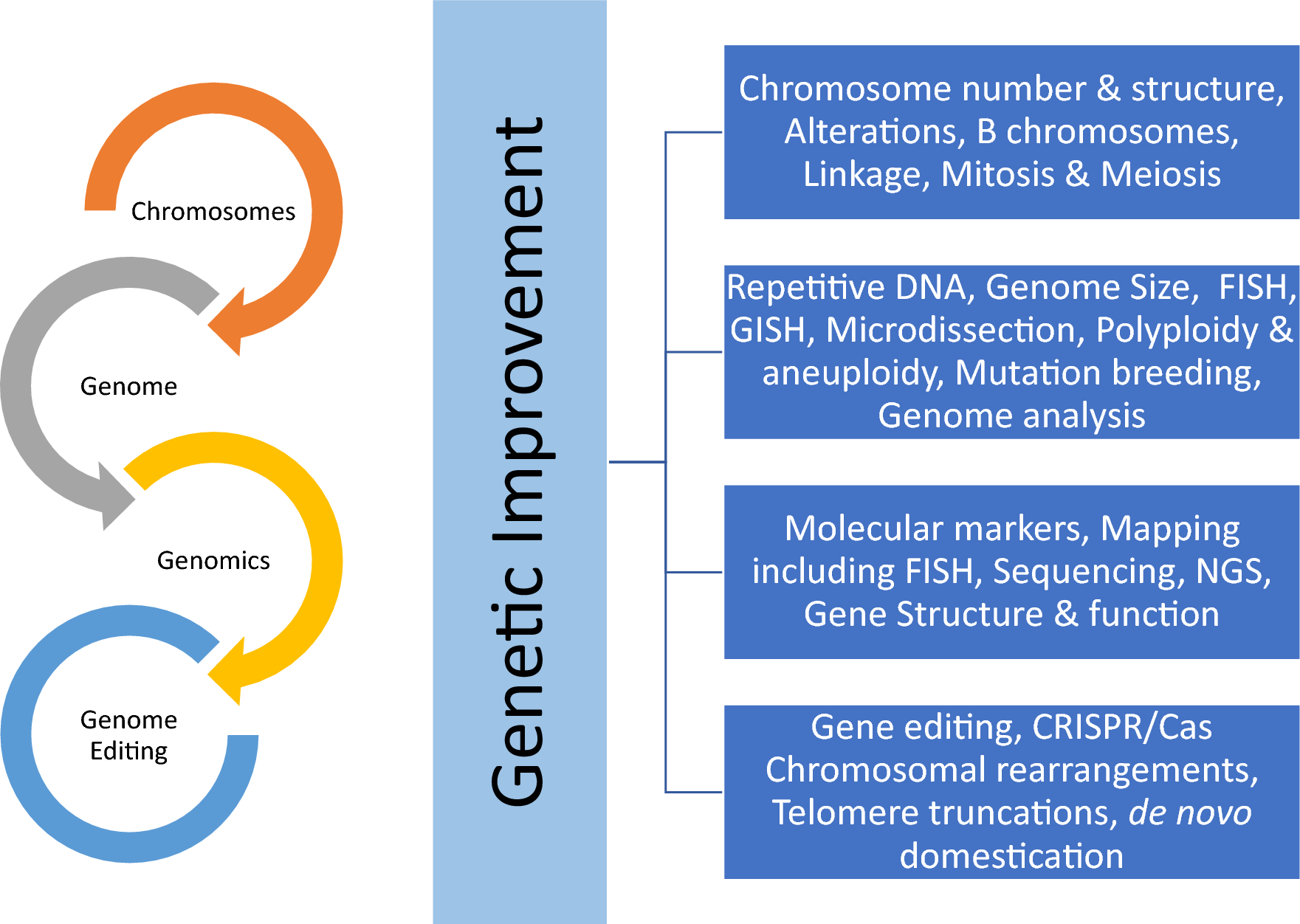 Plant cytogenetics in the era of genome editing