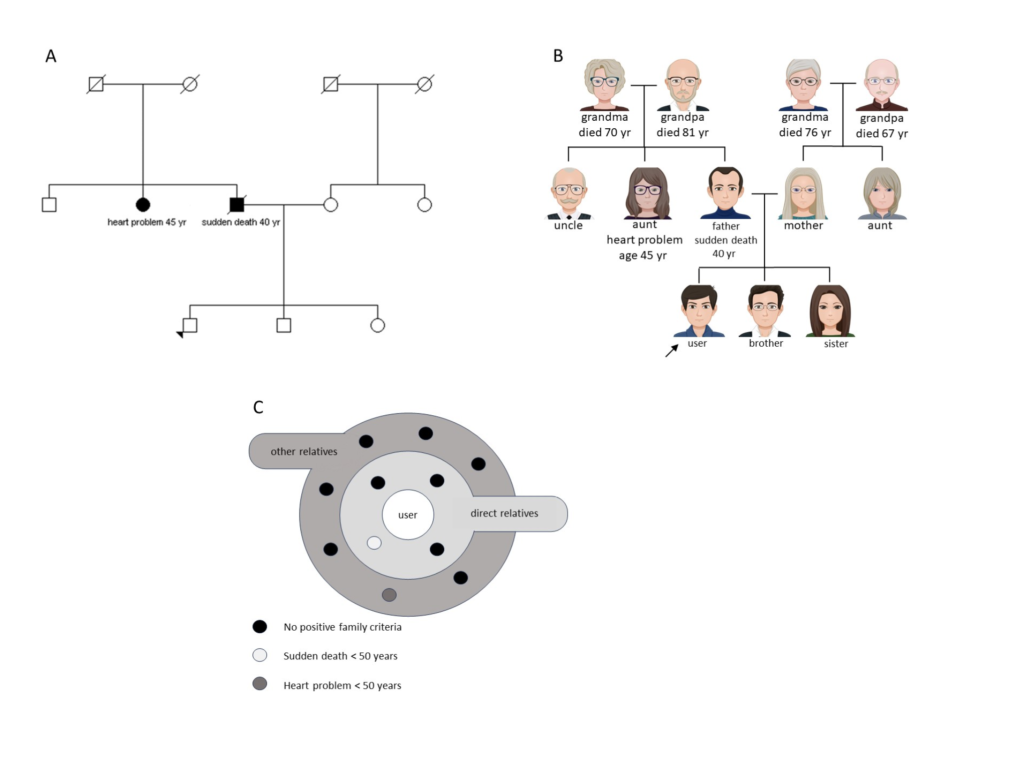 Development of a digital risk-prediction tool based on family health history for the general population: legal and ethical implications