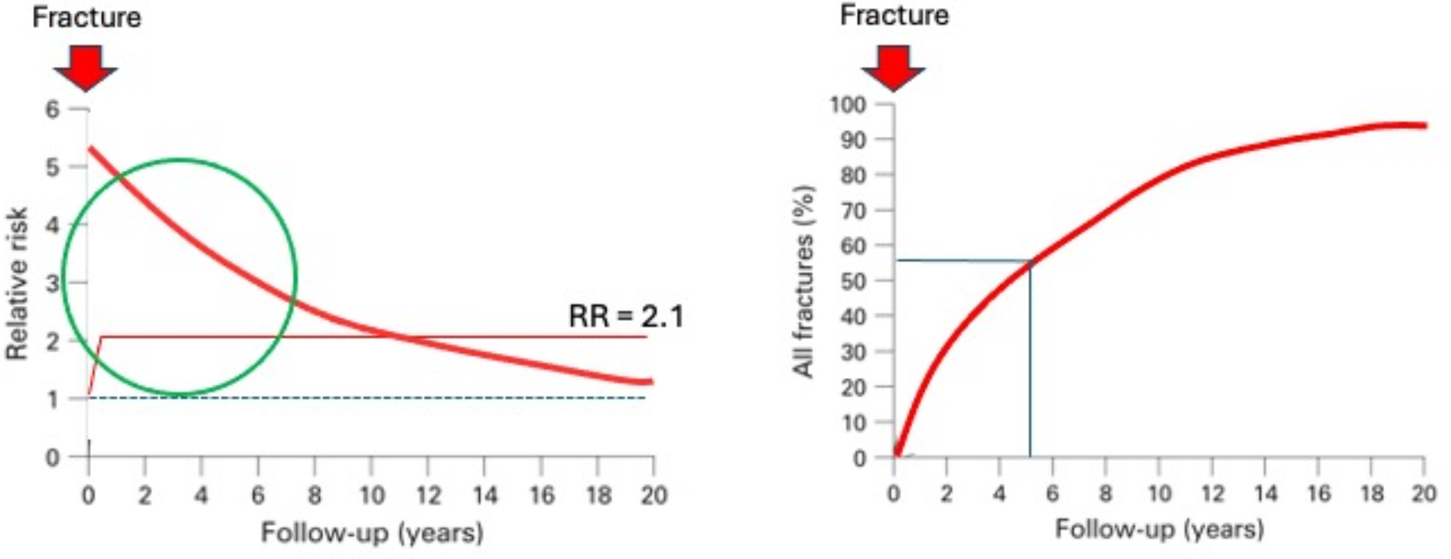 The Fracture Phenotypes in Women and Men of 50 Years and Older with a Recent Clinical Fracture