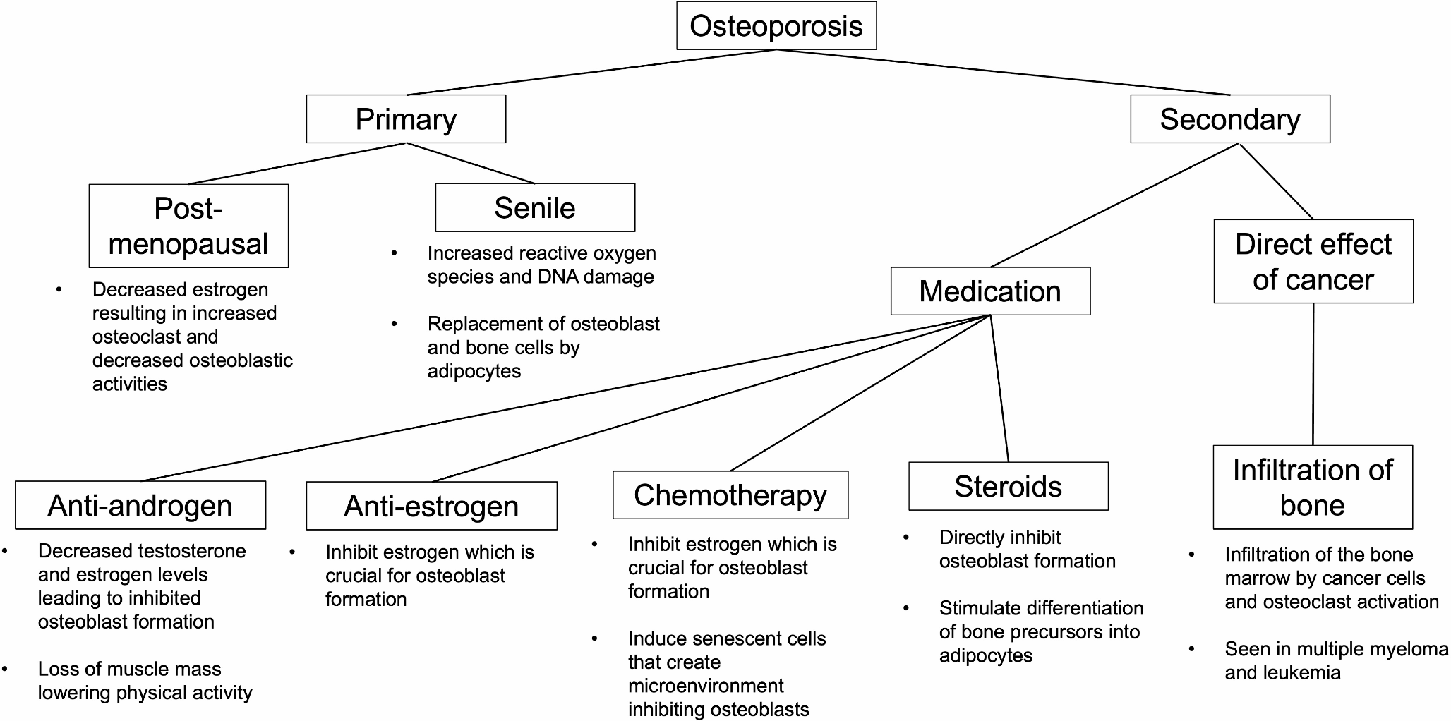 PET/CT for the Opportunistic Screening of Osteoporosis and Fractures in Cancer Patients