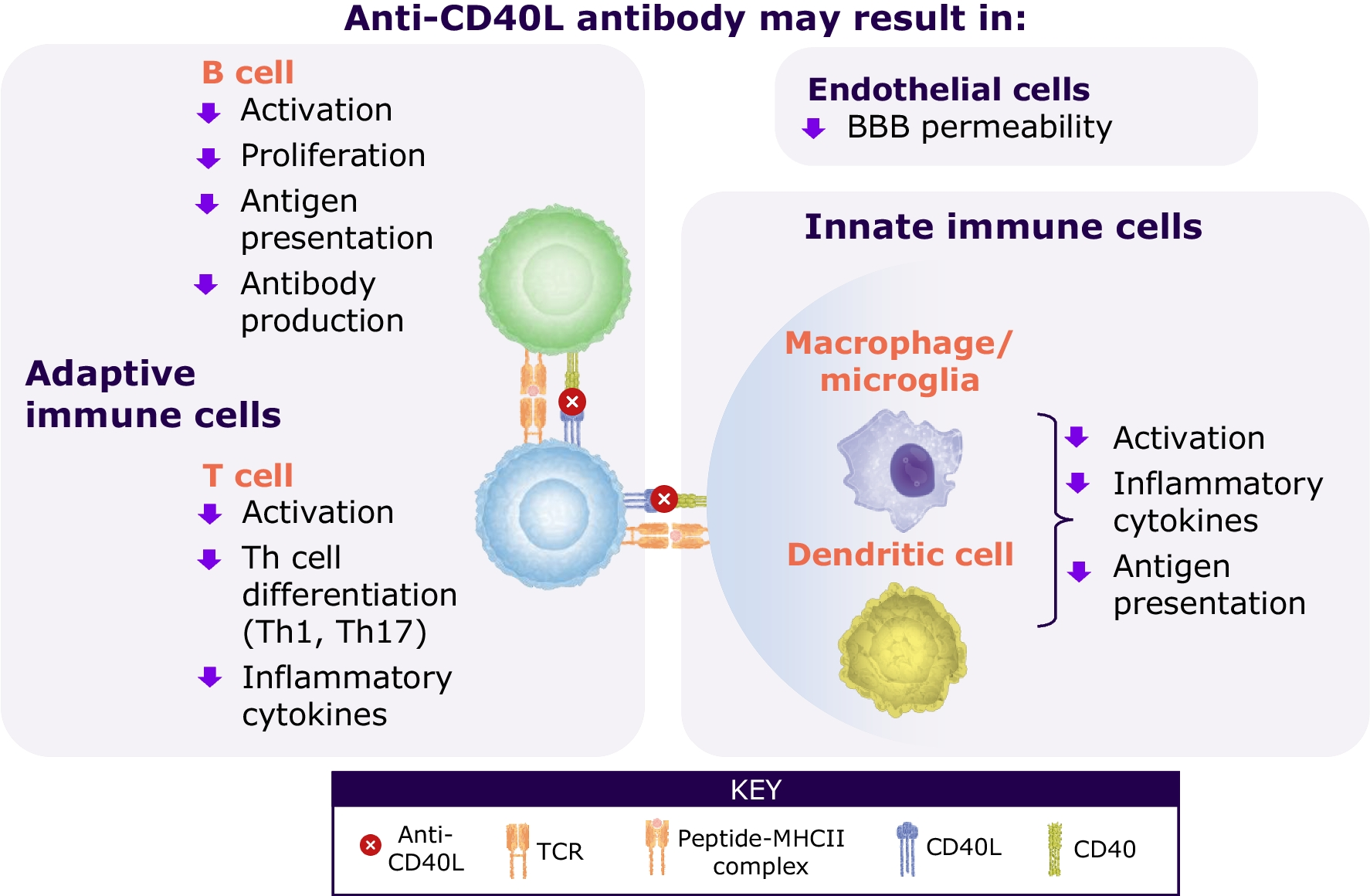 Inhibiting CD40 Ligand in Multiple Sclerosis: A Review of Emerging Therapeutic Potential