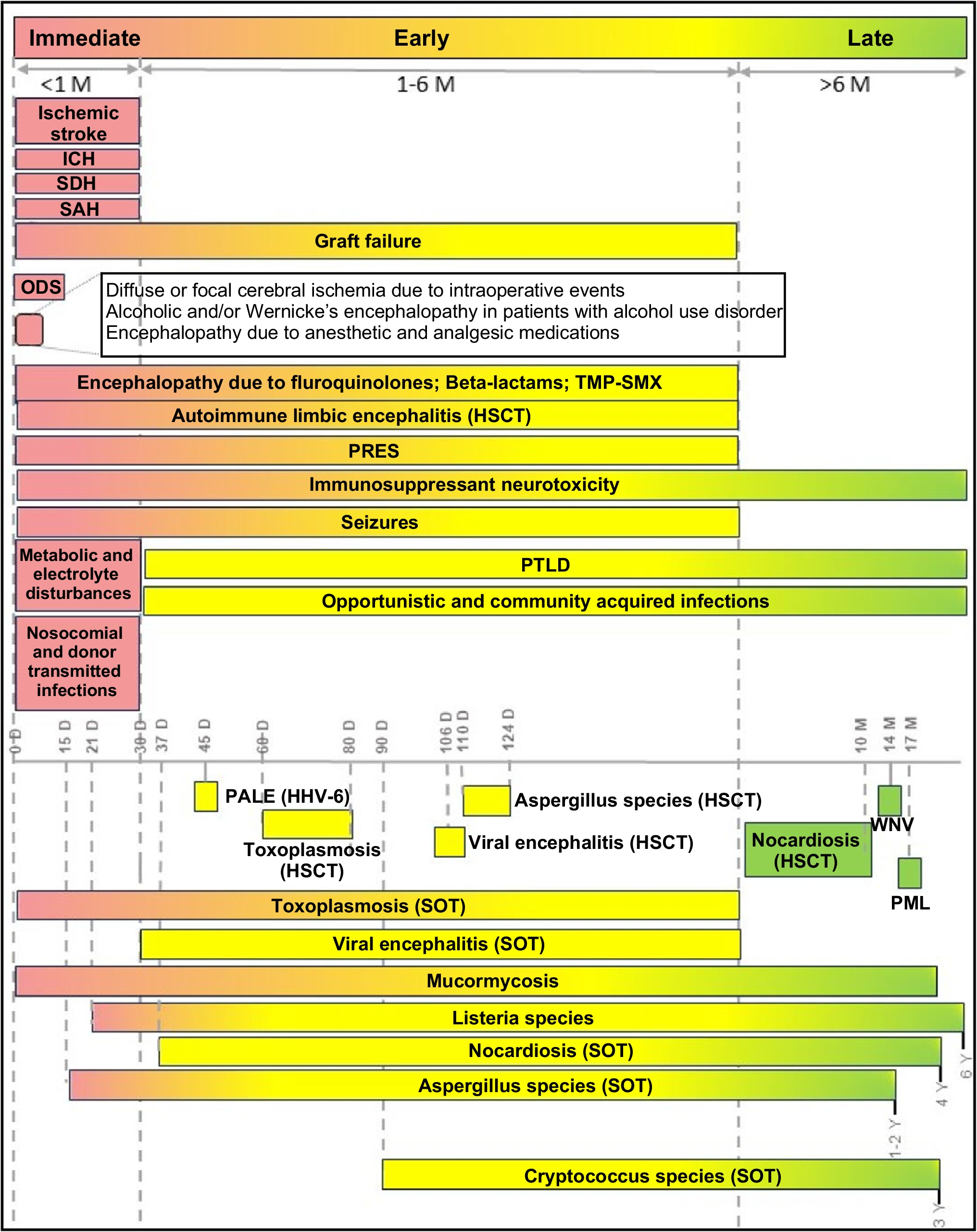 Neurocritical Care in Transplant Patients