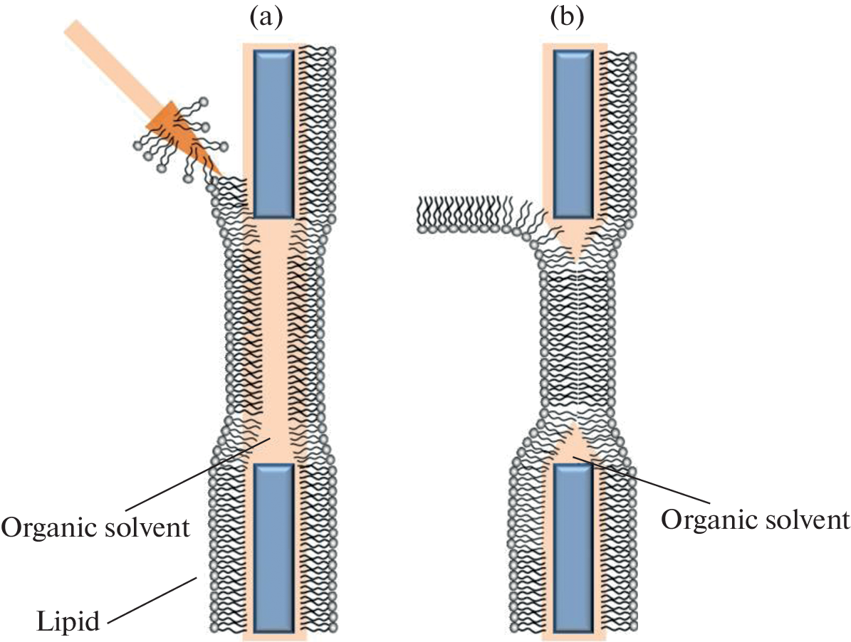 Mechanisms of Lipid-Mediated Regulation of the Pore-Forming Activity of Antimicrobial Agents: Studies on Planar Lipid Bilayers