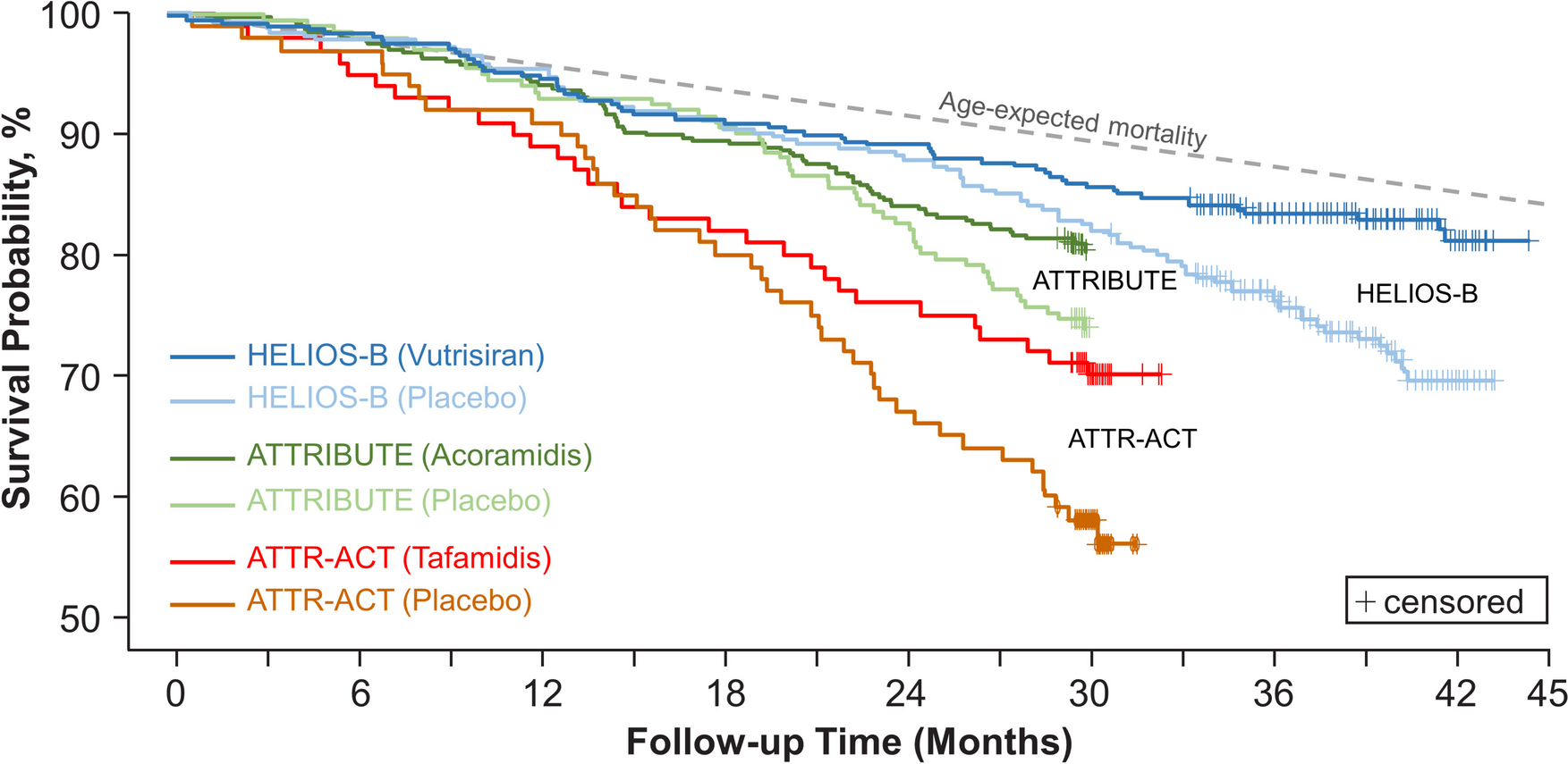 Contextualizing the results of HELIOS-B in the broader landscape of clinical trials for the treatment of transthyretin cardiac amyloidosis