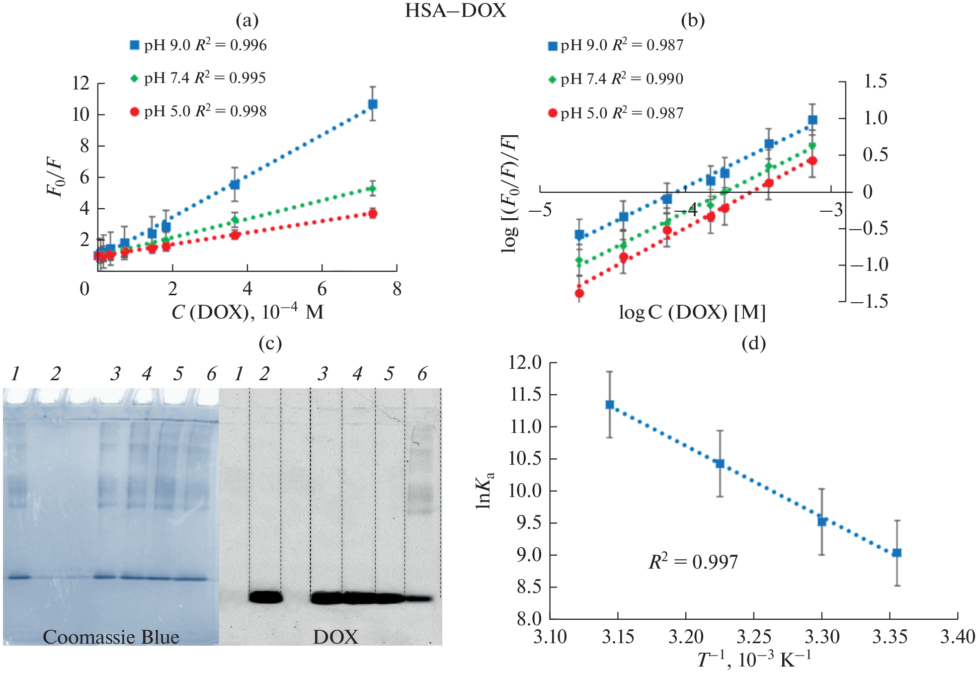 Investigating Non-Covalent Interactions of Human Serum Albumin with Doxorubicin and Folic Acid