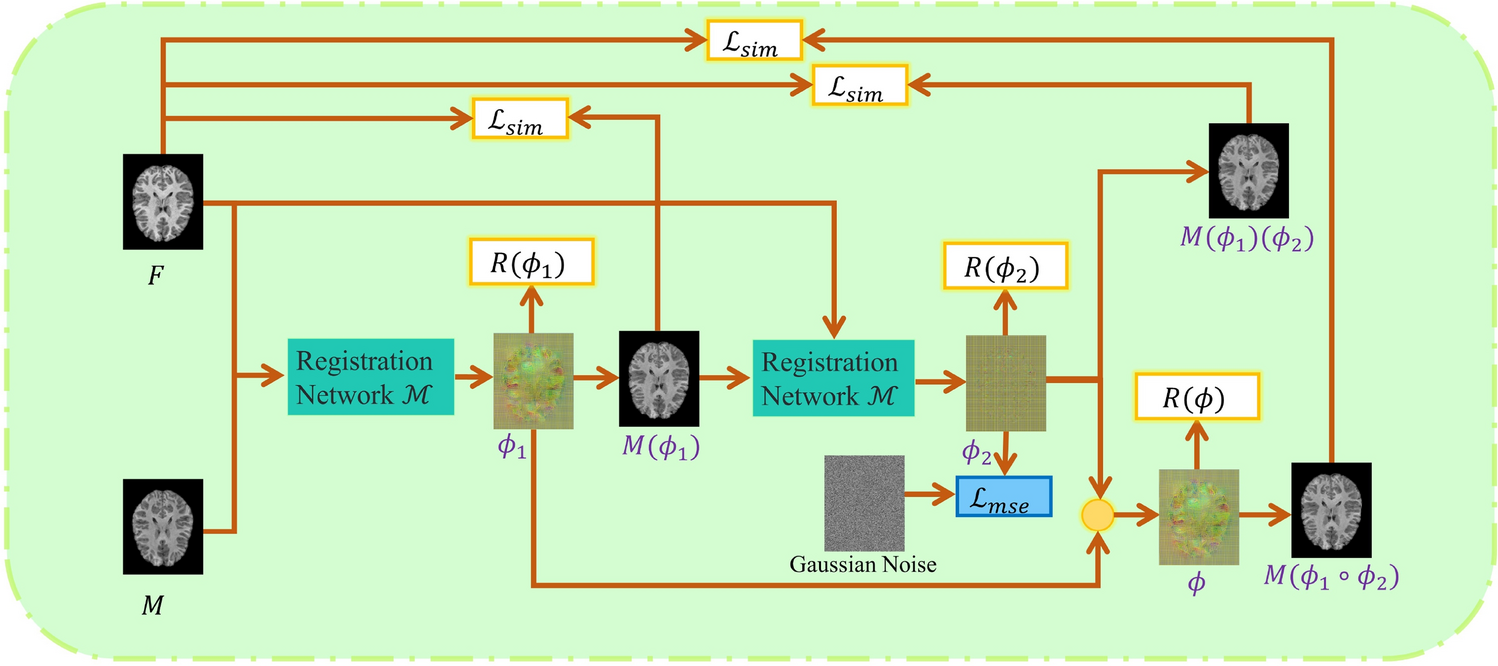 Gaussianmorph: deformable medical image registration with Gaussian noise constraints