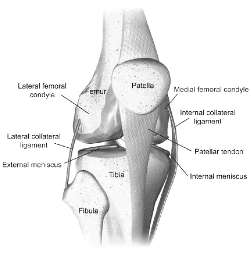 A Review for automated classification of knee osteoarthritis using KL grading scheme for X-rays