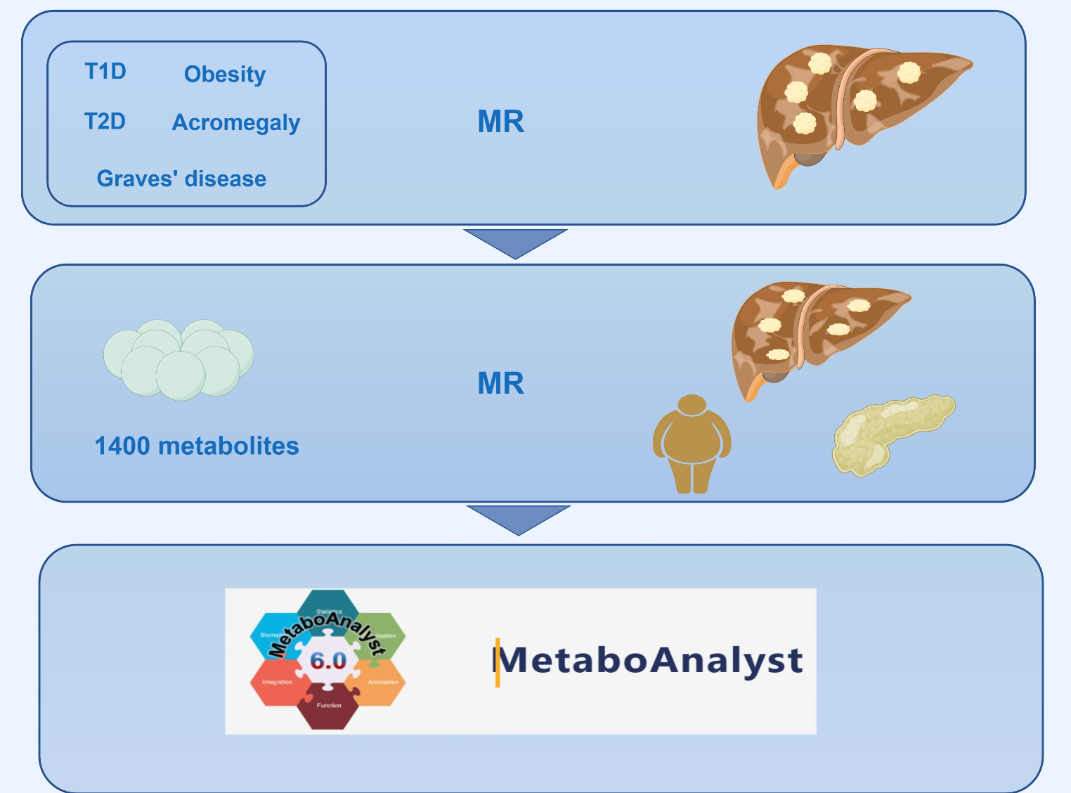 Unveiling the endocrine connections of NAFLD: evidence from a comprehensive mendelian randomization study