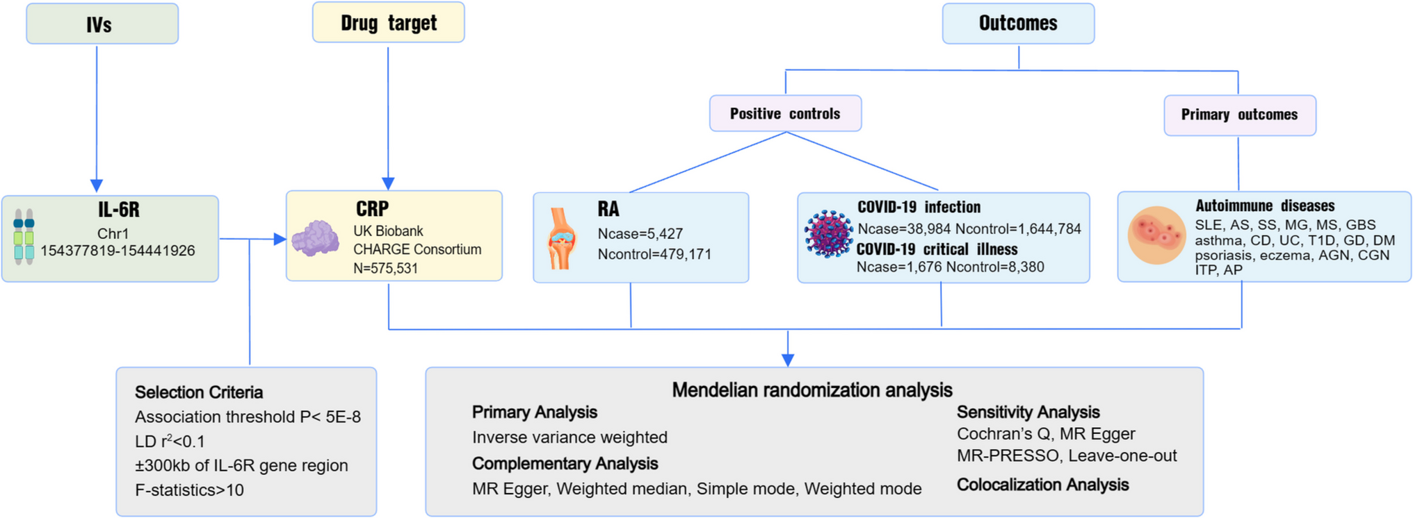 Exploring the therapeutic potential of interleukin-6 receptor blockade in autoimmune diseases using drug target mendelian randomization