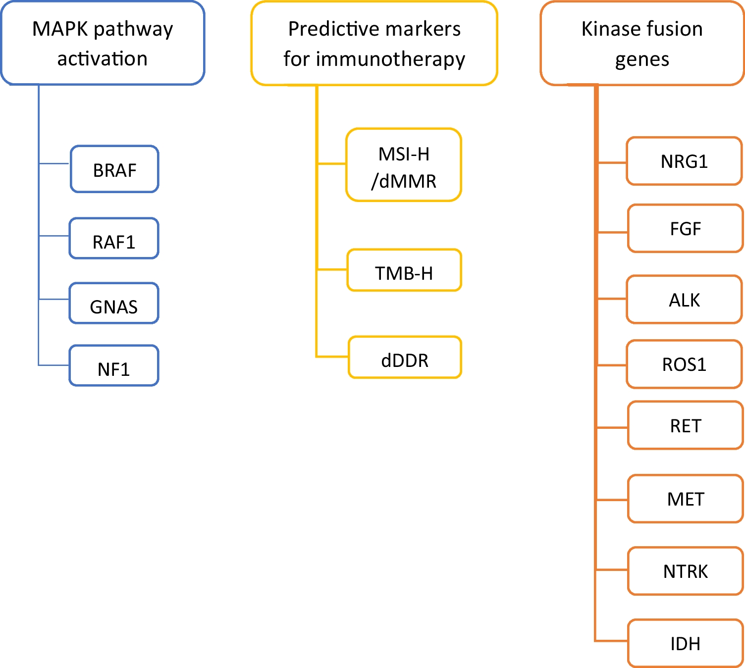 New Therapeutic Targets in RAS Wild-type Pancreatic Cancer