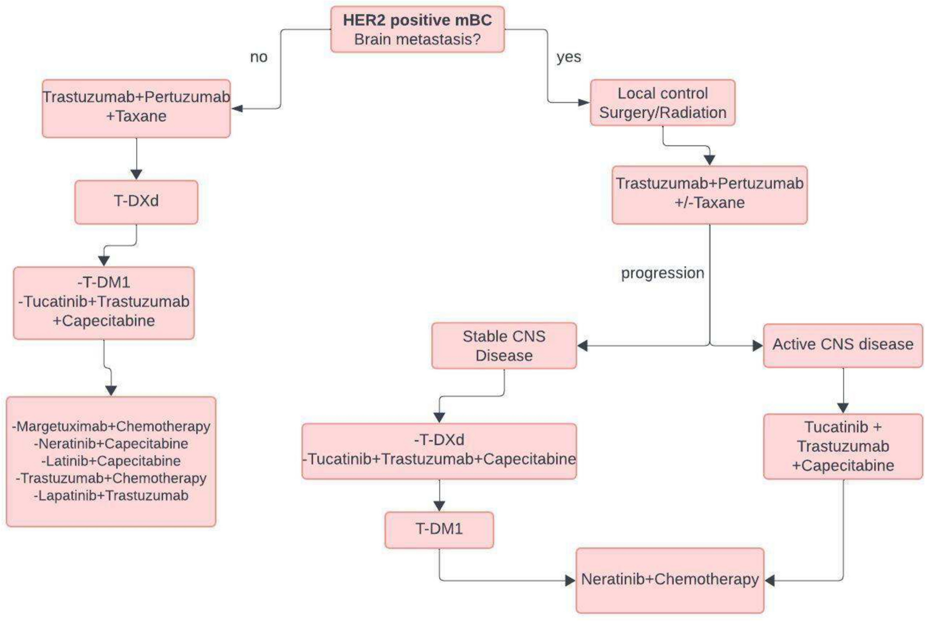 Updates in Treatment of HER2-positive Metastatic Breast Cancer