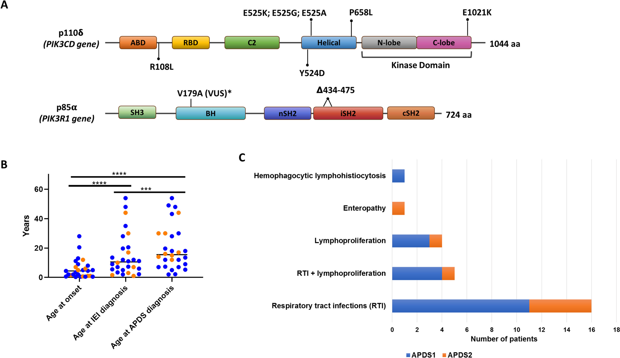 Report of the Italian Cohort with Activated Phosphoinositide 3-Kinase δ Syndrome in the Target Therapy Era