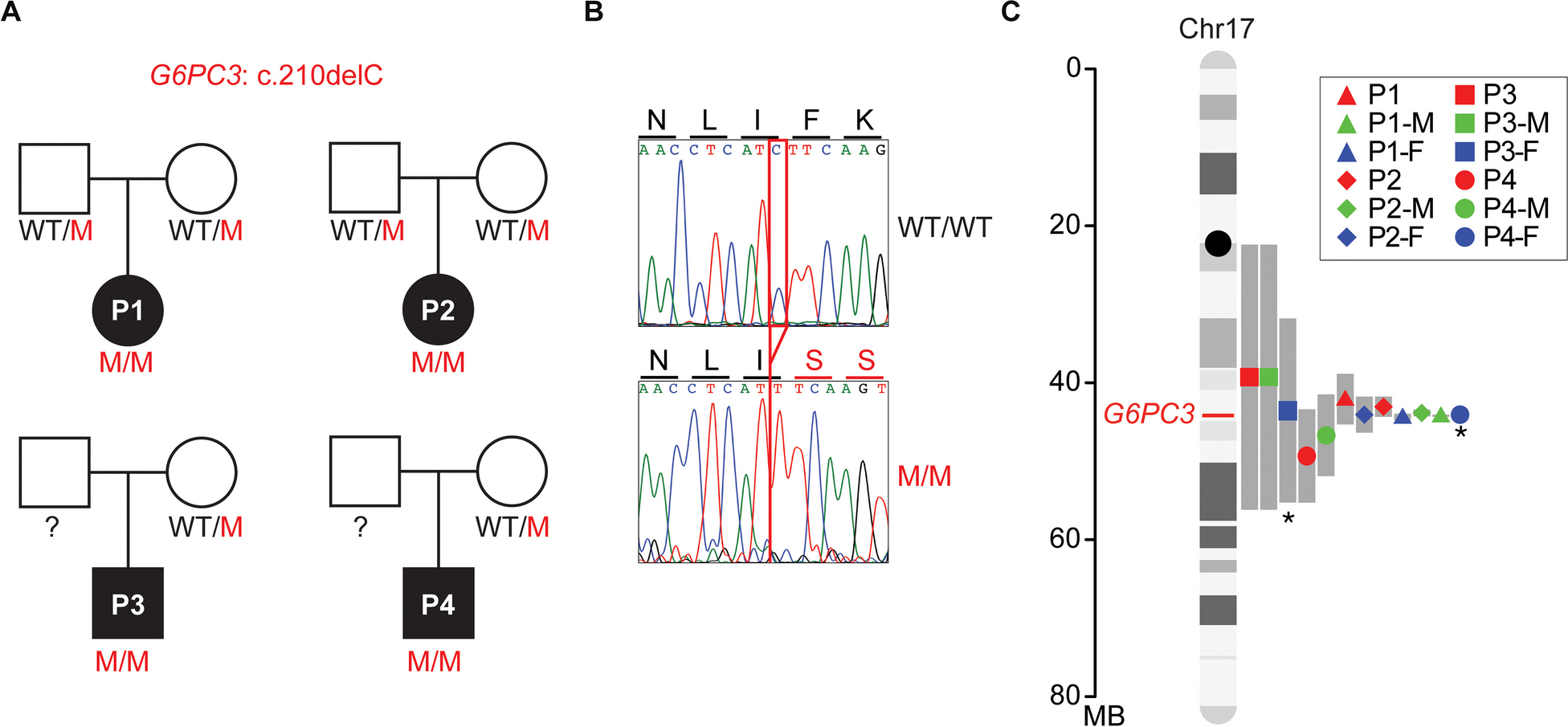 Molecular and Clinical Characterization of a Founder Mutation Causing G6PC3 Deficiency