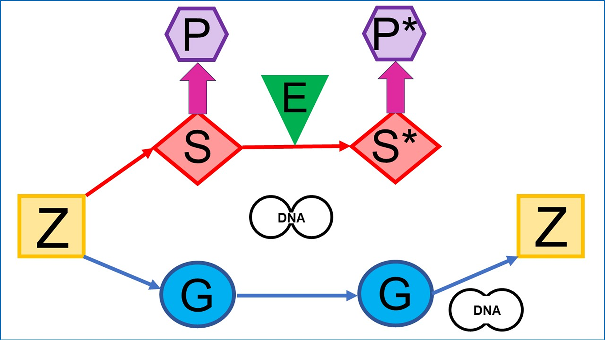 A “poly-matter network” conception of biological inheritance