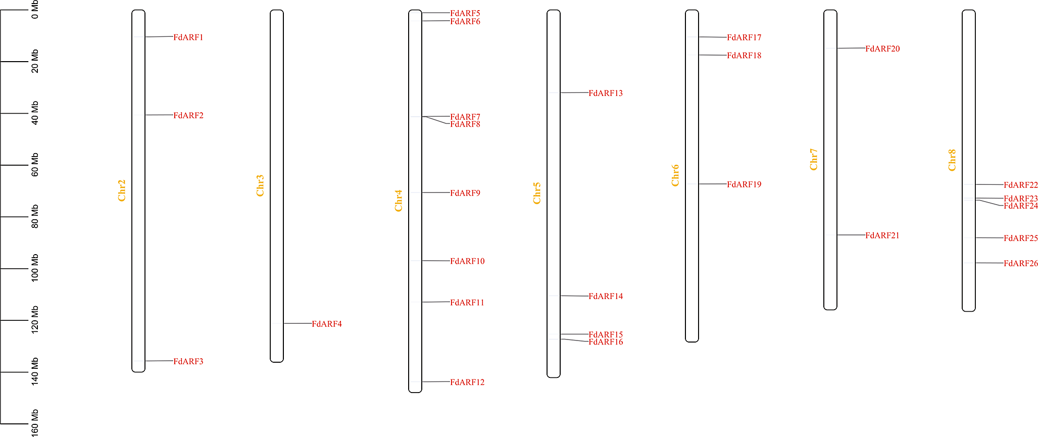 Systematic analysis of the ARF gene family in Fagopyrum dibotrys and its potential roles in stress tolerance