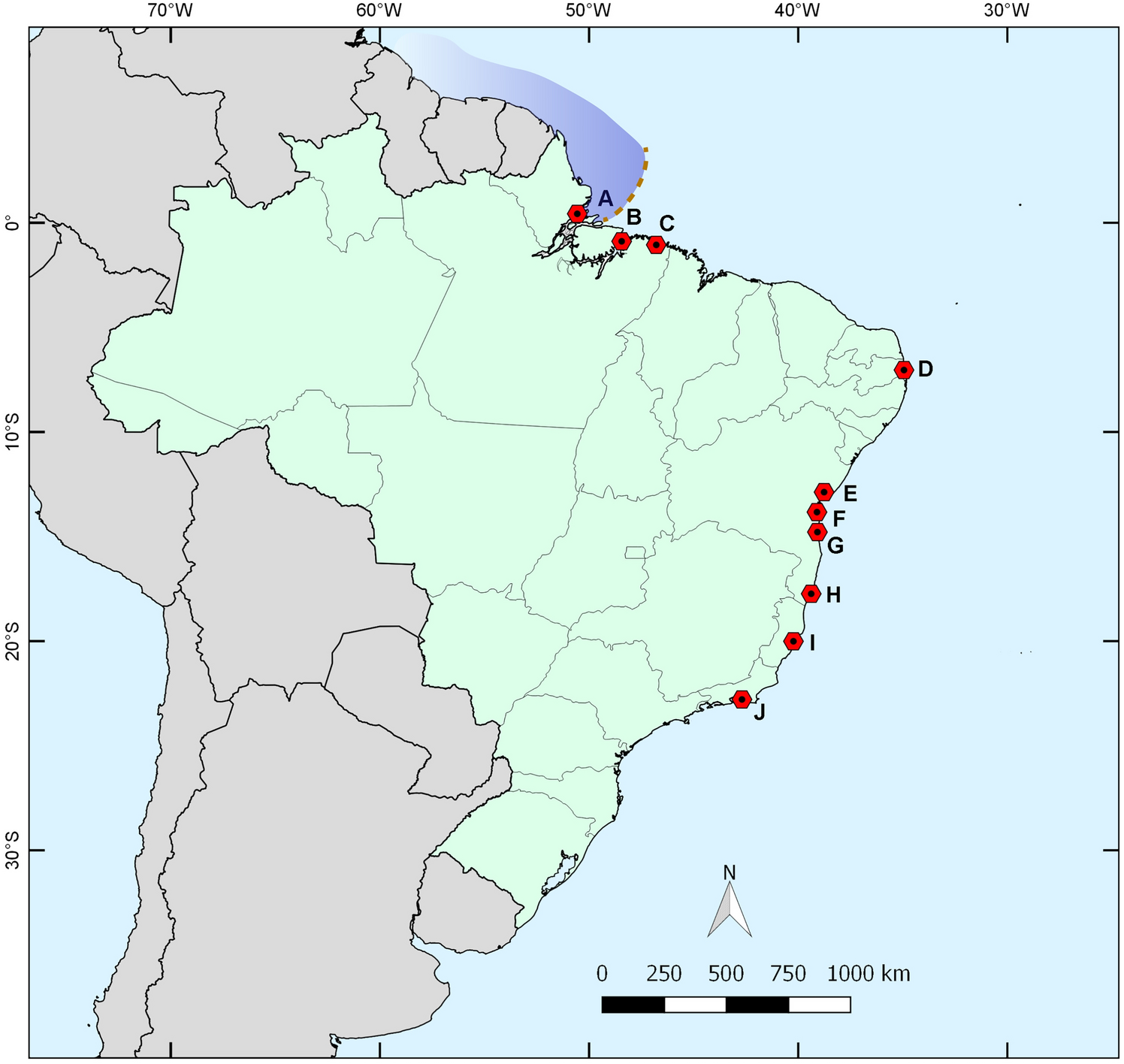 Hidden diversity revealed by DNA barcoding of paralichthyidae fish along the caribbean and brazilian coast