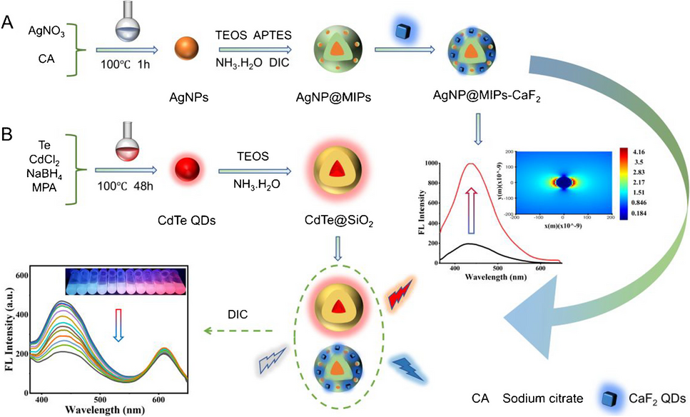 A molecularly imprinted ratio fluorescence sensor based on metal-enhanced fluorescence of core–shell structure CaF2-silver nanoparticle for visual detection of dicamba