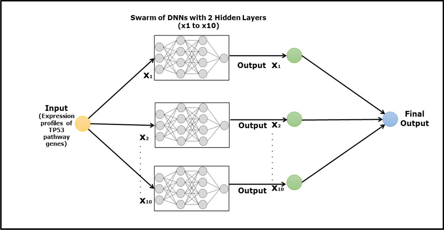 Application of a high-throughput swarm-based deep neural network Algorithm reveals SPAG5 downregulation as a potential therapeutic target in adult AML