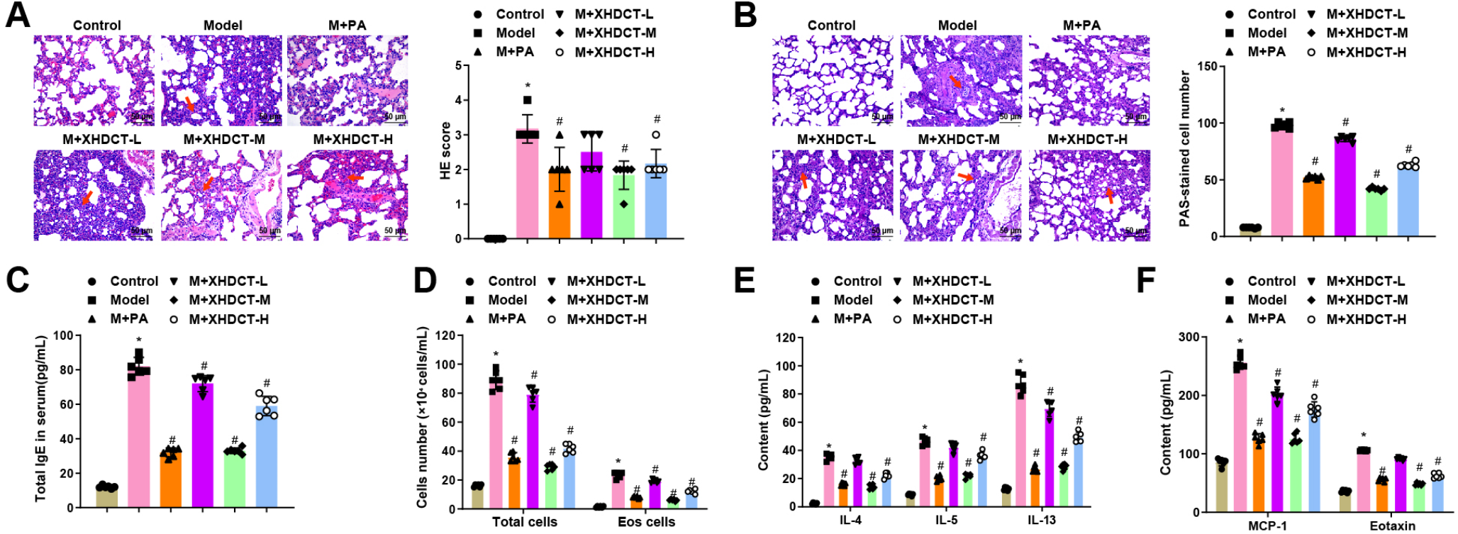 Xuanhong Dingchuan Tang suppresses bronchial asthma inflammation via the microRNA-107-3p/PTGS2/MAPK axis