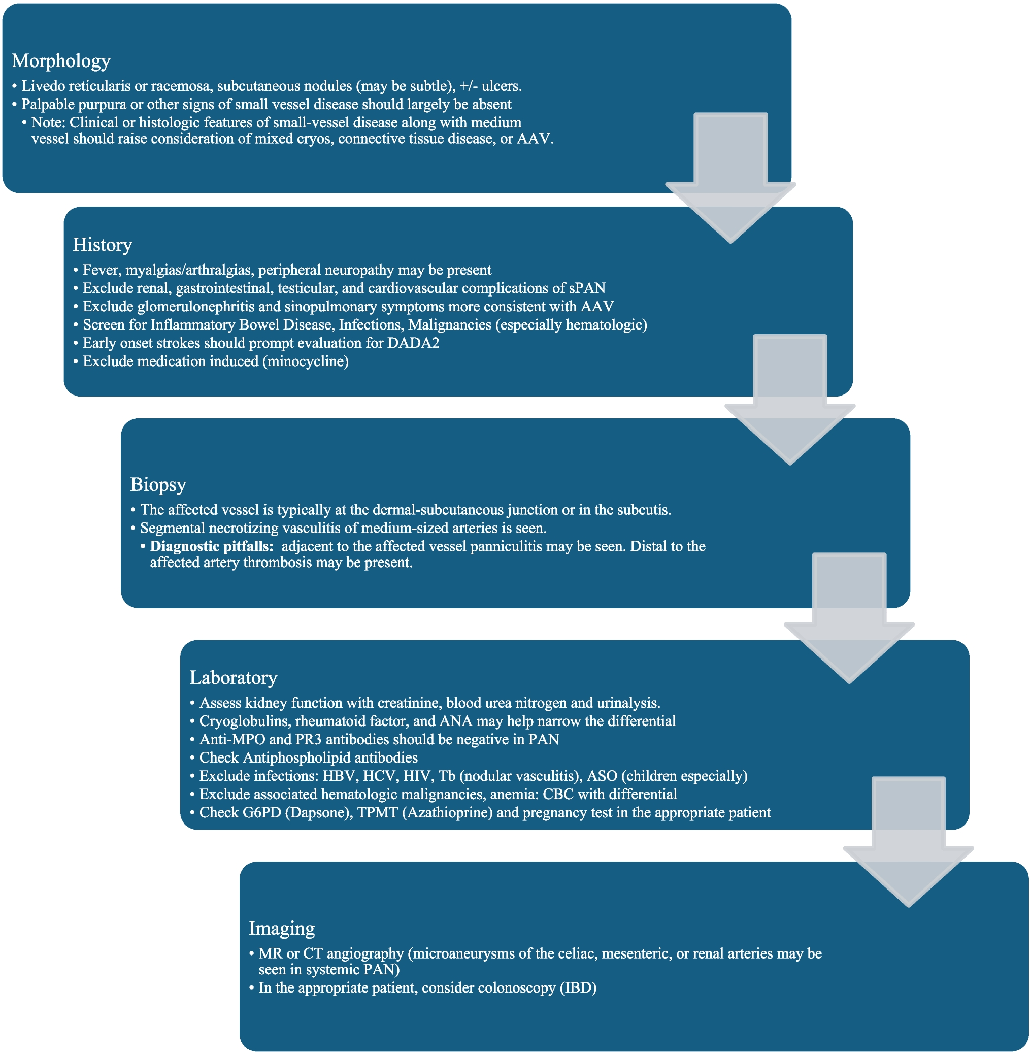 Medium and Large Vessel Vasculitis, Clinical Review for the Inpatient Dermatologist