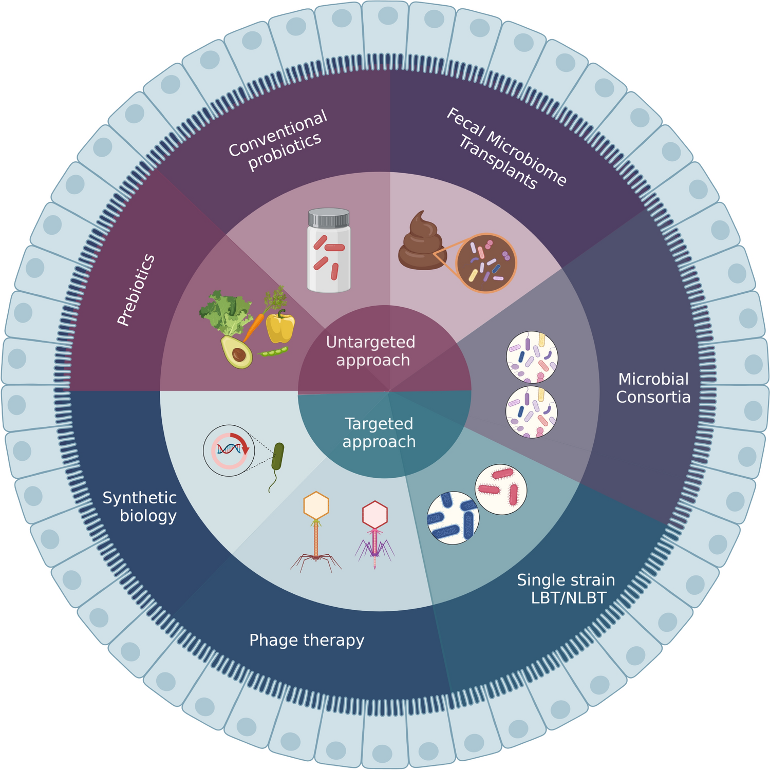 The Future of Microbiome Therapeutics