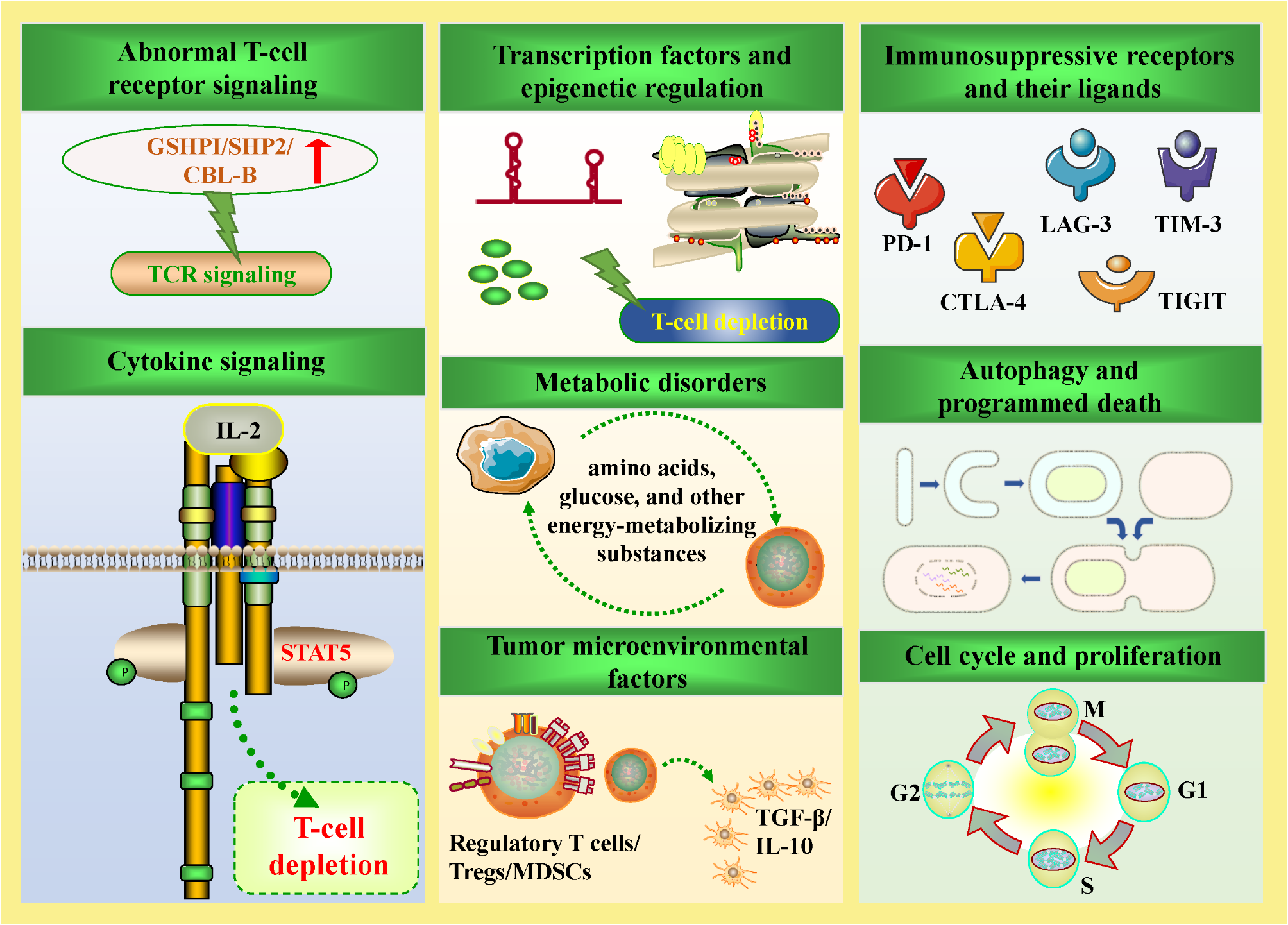 Mechanisms of T-cell Depletion in Tumors and Advances in Clinical Research