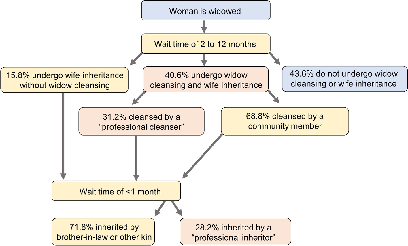 Mitigating HIV risk associated with widow cleansing and wife inheritance using combined biomedical and structural interventions in western Kenya: a mathematical modeling study