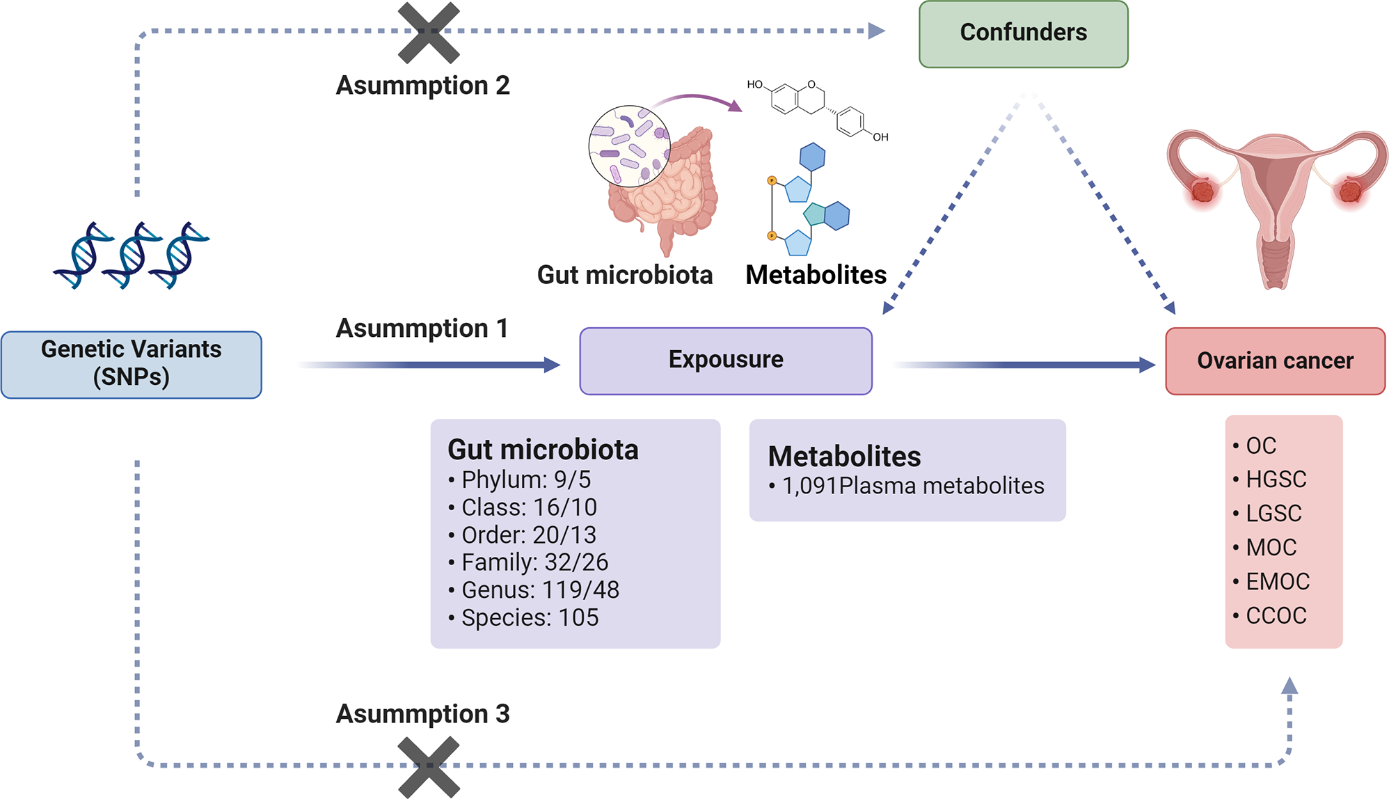 Exploring the causal associations of the gut microbiota and plasma metabolites with ovarian cancer: an approach of mendelian randomization analysis combined with network pharmacology and molecular docking