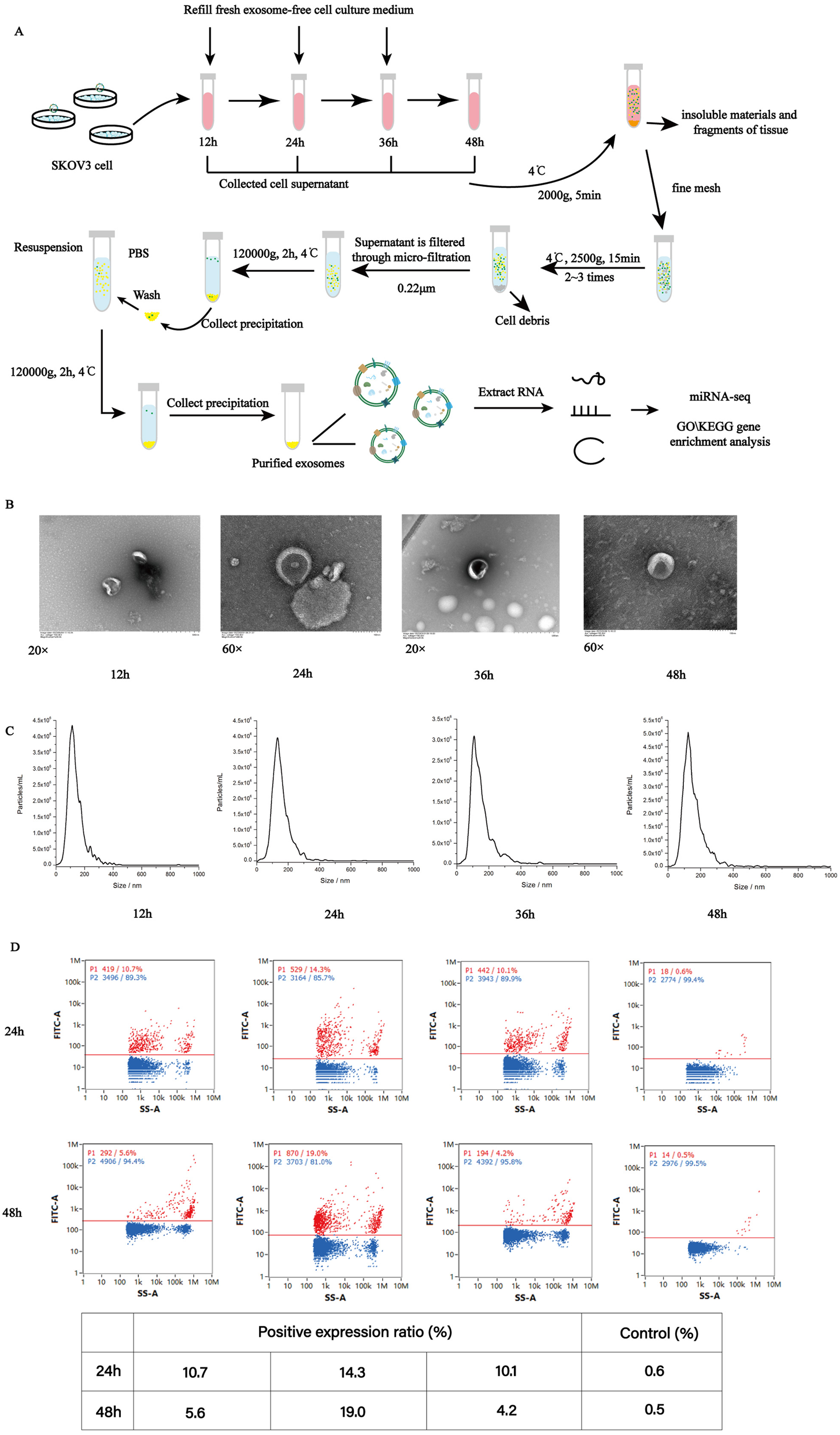 Dynamic and functional analyses of exosomal miRNAs regulating cellular microenvironment of ovarian cancer cells