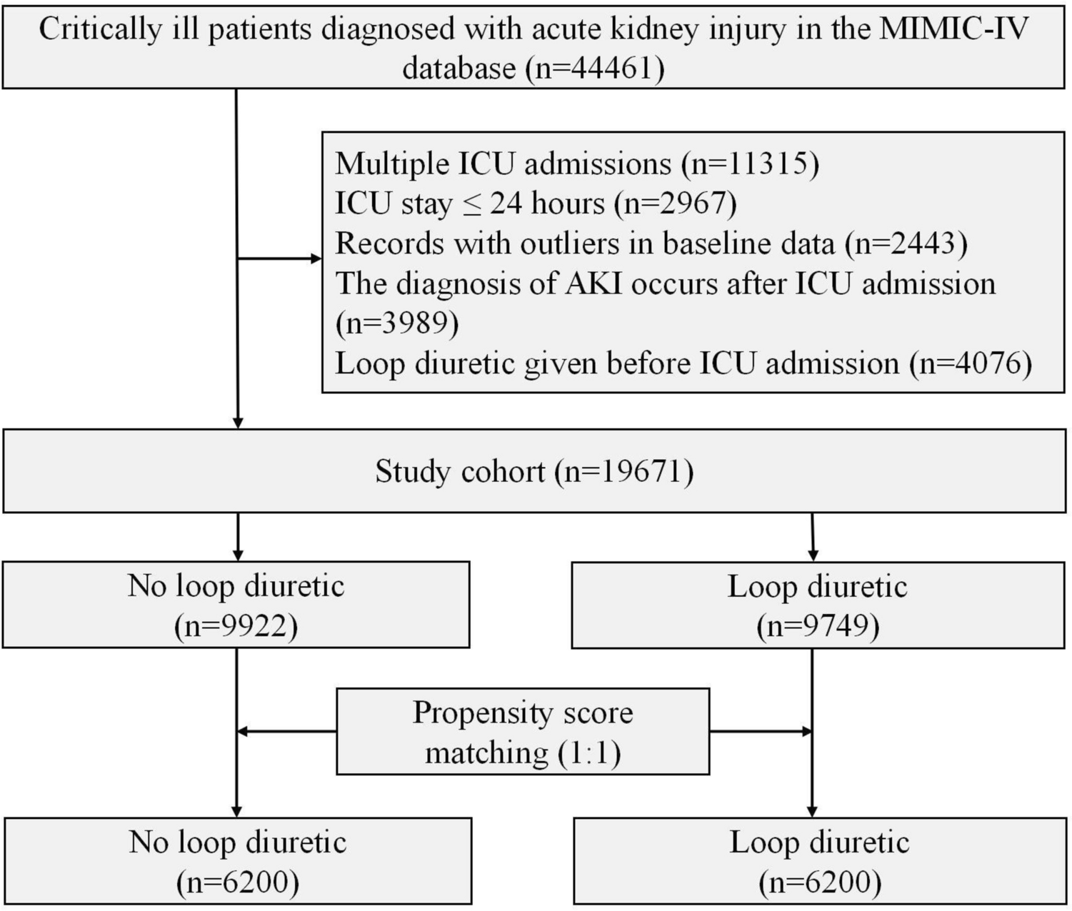 Association between the use of loop diuretics and prognosis in critically ill patients with acute kidney injury: a retrospective propensity score-matched cohort study