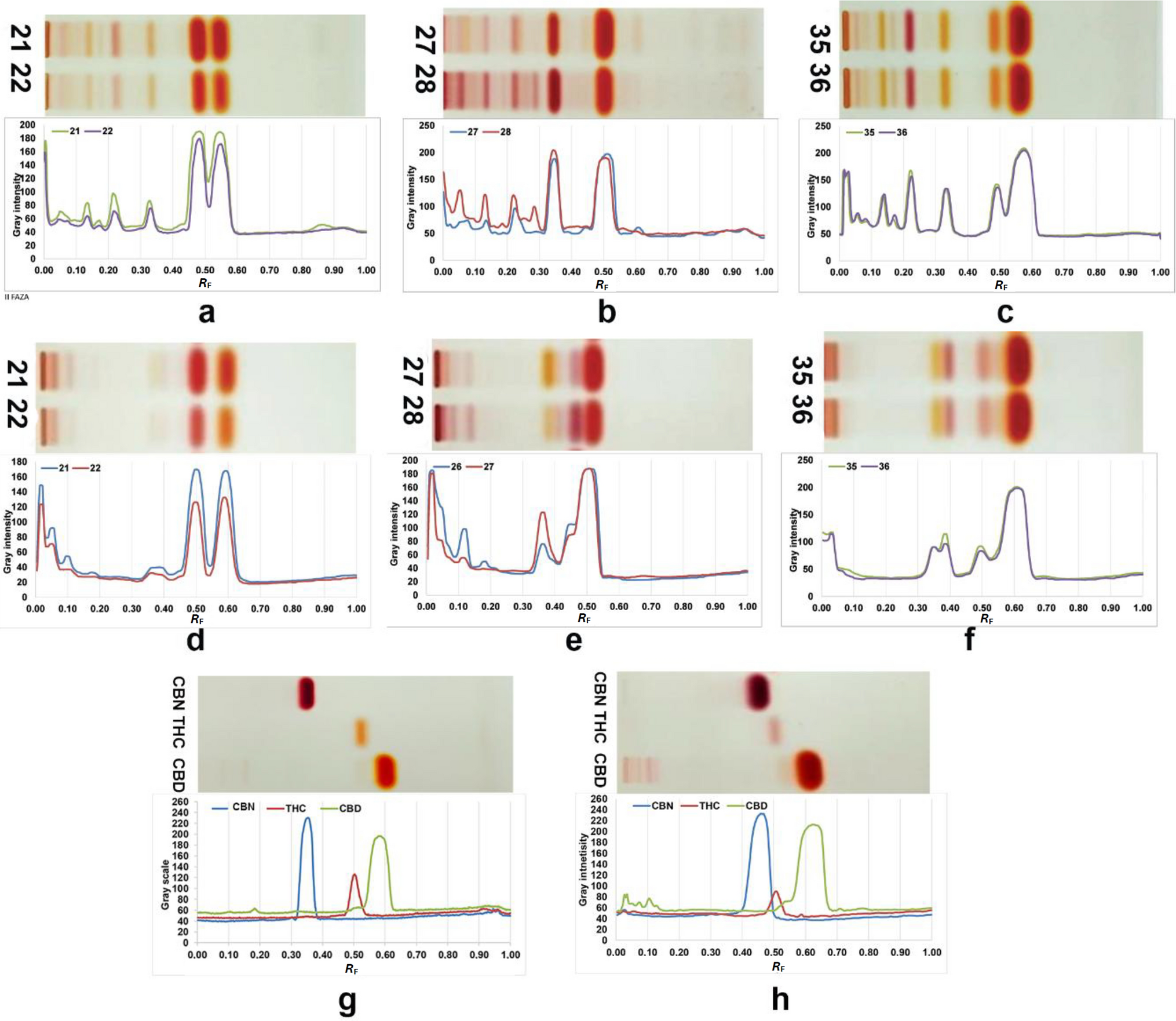 Green analytical strategy for distinguishing Cannabis sativa L. chemotypes via planar chromatography and partial least squares regression