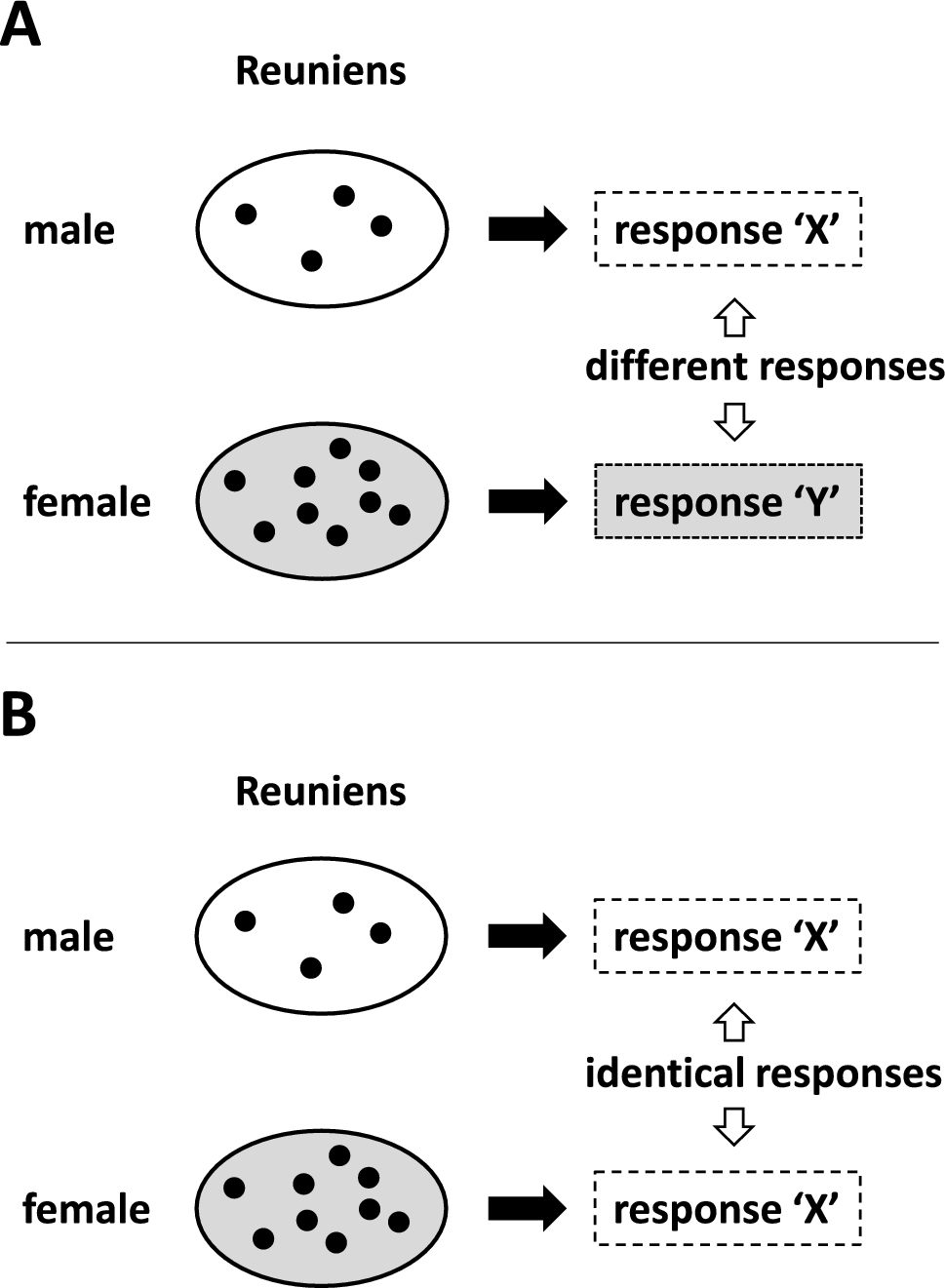 Is there something sexual in the ventral midline thalamus?