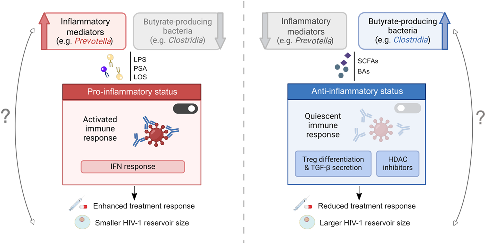 Exploring potential associations between the human microbiota and reservoir of latent HIV