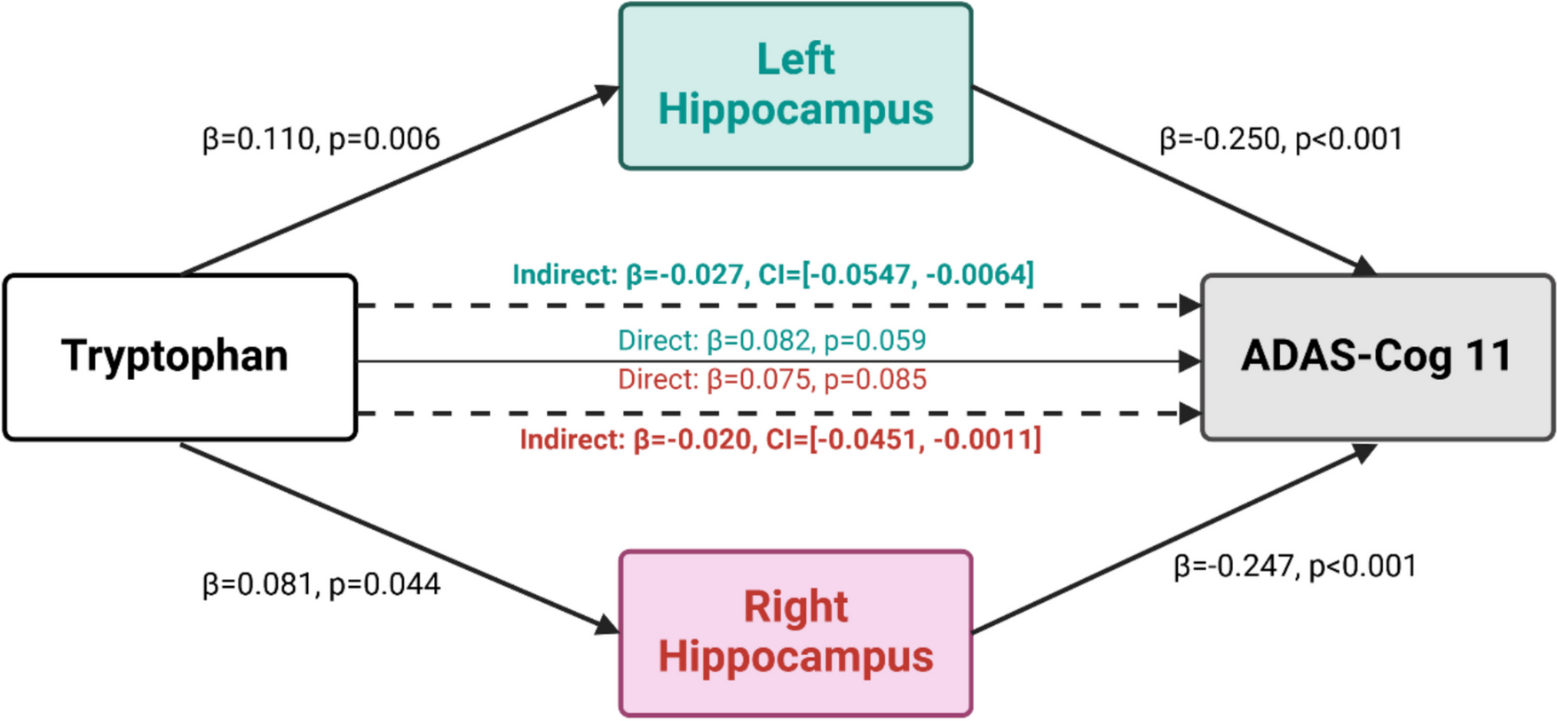 Plasma tryptophan levels are linked to hippocampal integrity and cognitive function in individuals with mild cognitive impairment