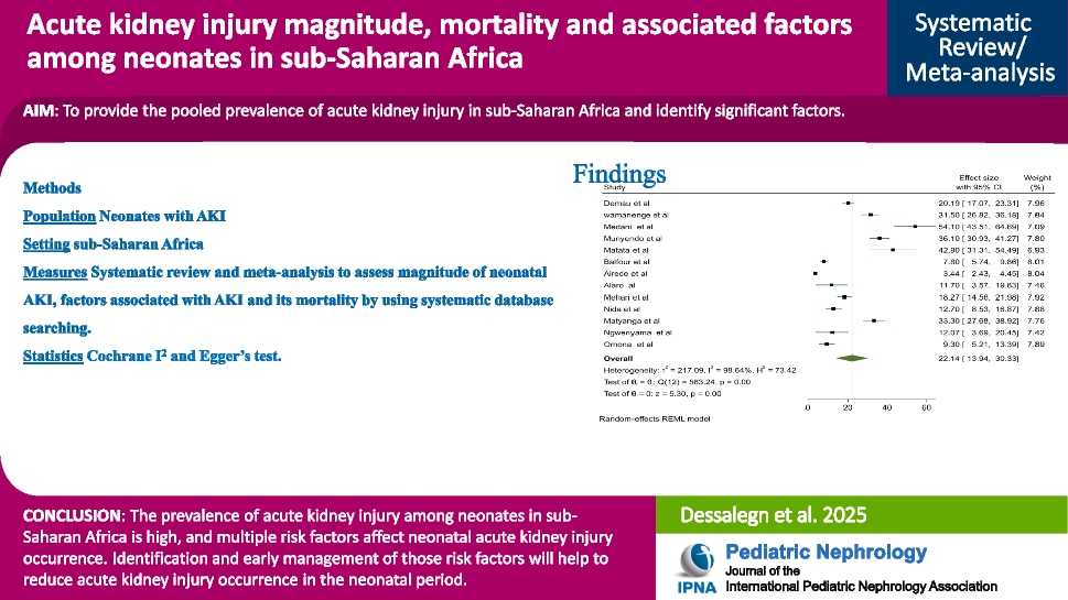 Acute kidney injury magnitude, mortality, and associated factors among neonates in sub-Saharan Africa: a systematic review and meta-analysis