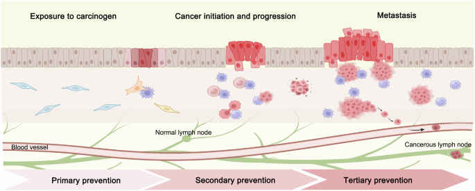 Cancer chemoprevention: signaling pathways and strategic approaches