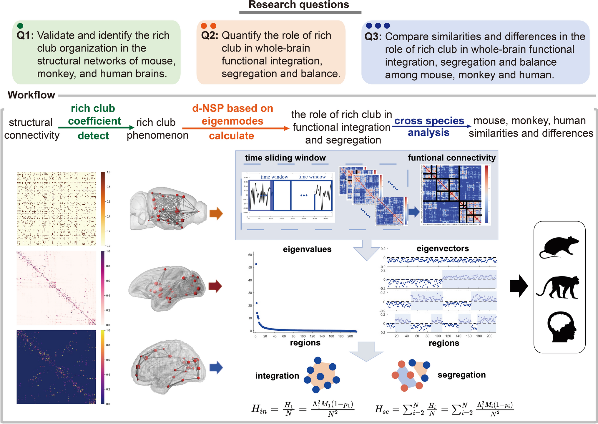 Evolution of the Rich Club Properties in Mouse, Macaque, and Human Brain Networks: A Study of Functional Integration, Segregation, and Balance