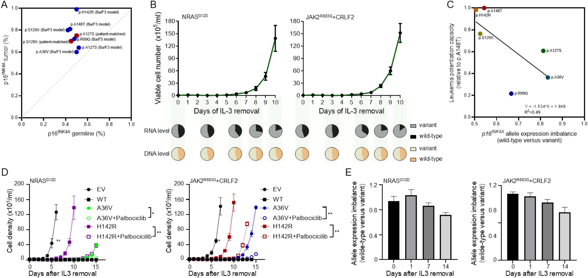 Allelic expression imbalance of  variants in childhood acute lymphoblastic leukemia