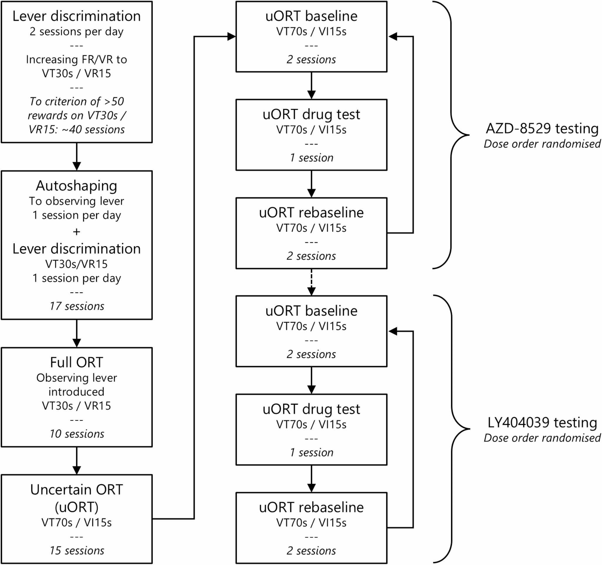 Agonism at mGluR2 receptors reduces dysfunctional checking on a rodent analogue of compulsive-like checking in obsessive compulsive disorder
