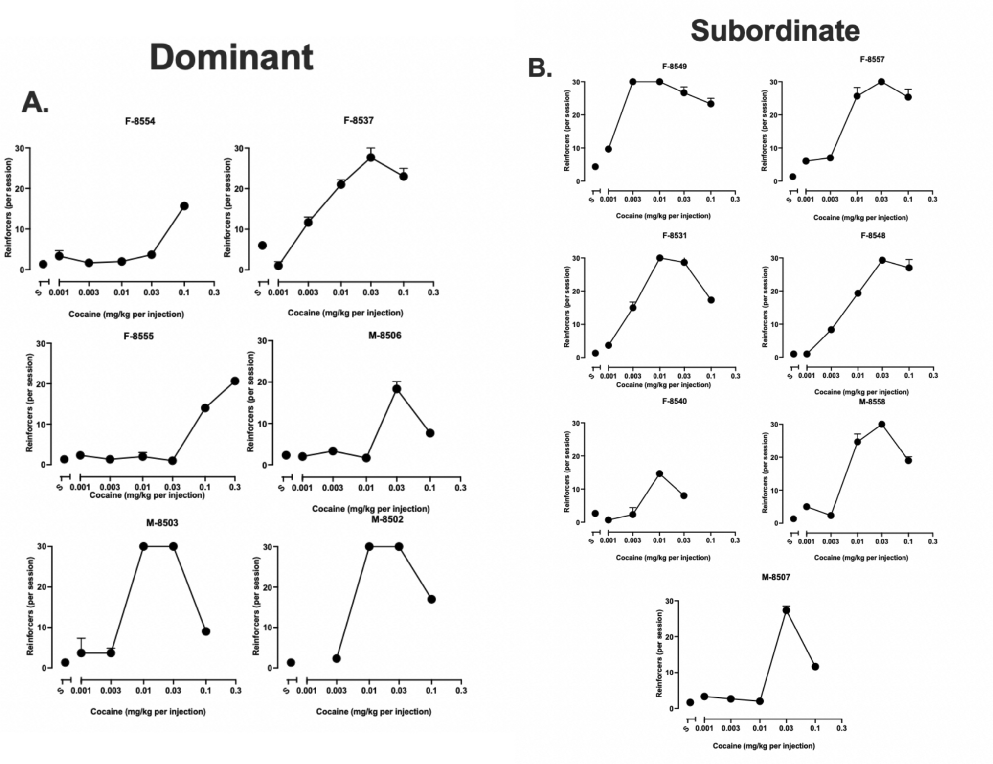 Ethanol consumption prior to cocaine self-administration reduced vulnerability to cocaine reinforcement in socially subordinate female and male monkeys