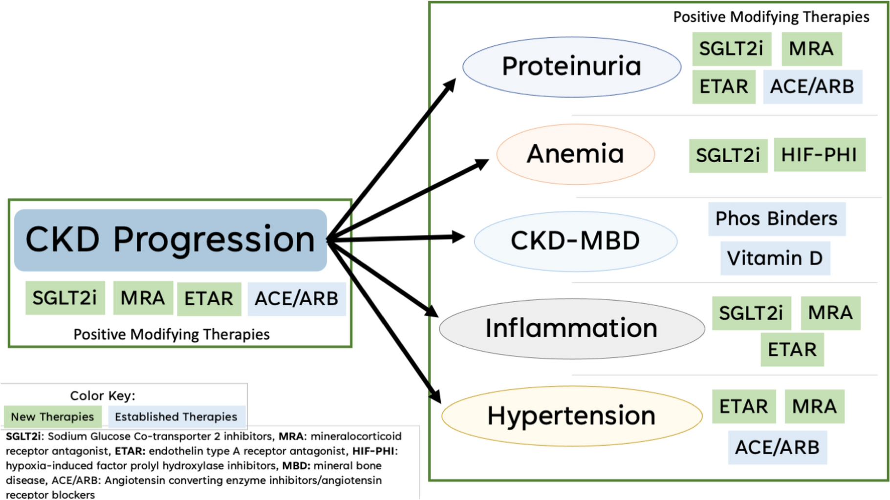 Drug Development in Pediatric Chronic Kidney Disease: A Review of Promising Treatments, Old Challenges, and New Strategies