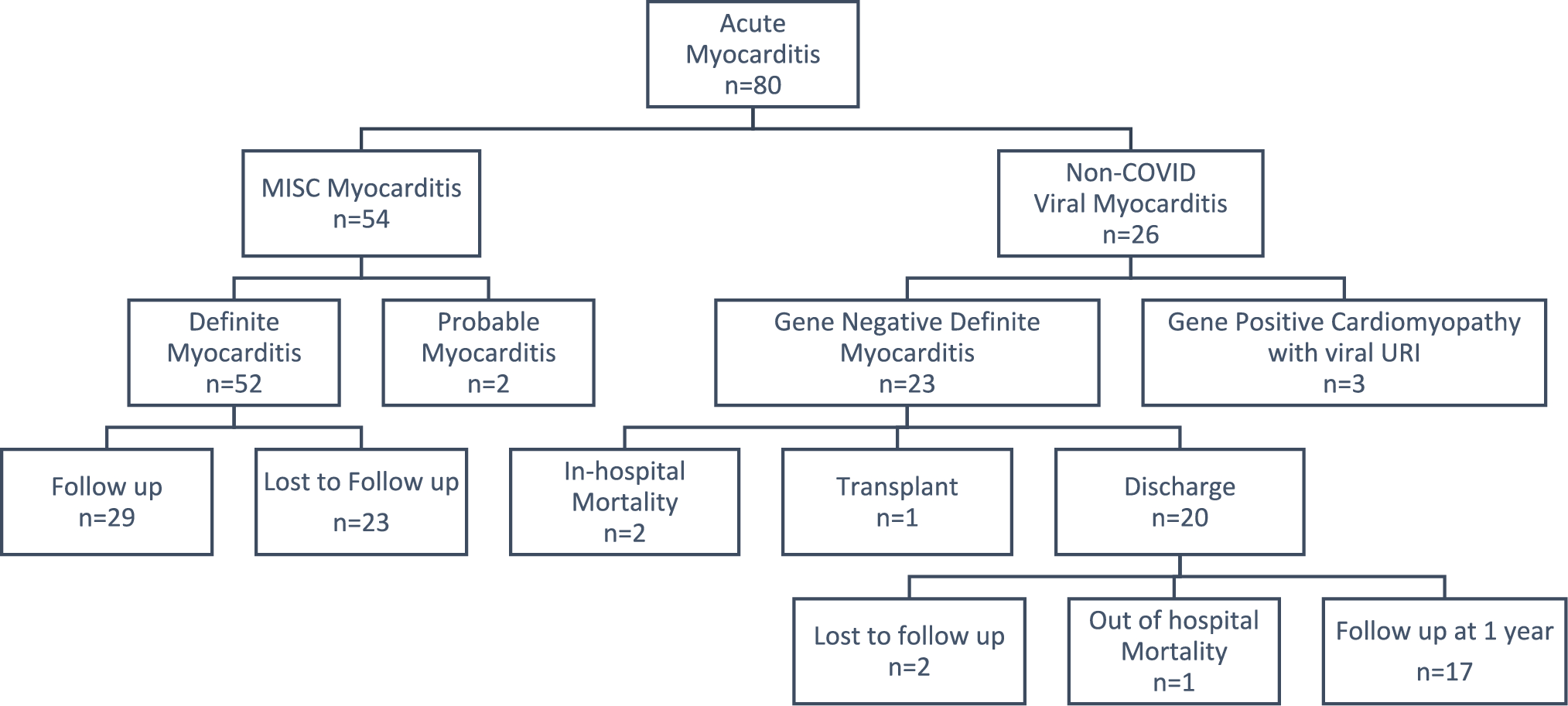 Effects of Cardiac Remodeling and Altered Mechanics on Cardiac Outcomes in Fulminant Myocarditis in Children: Insight from a Longitudinal Pilot Study