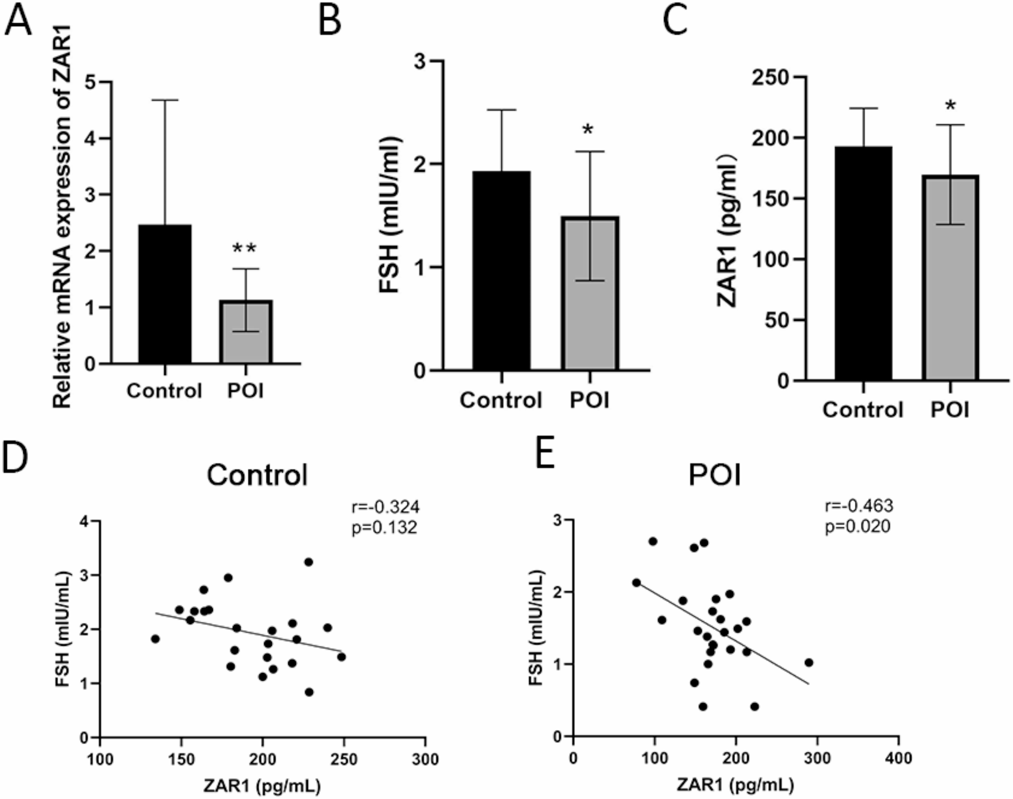 The Regulation of ZAR1 on Apoptosis and Mitophagy in Ovarian Granular Cells and Primary Ovarian Insufficiency (POI) Mice