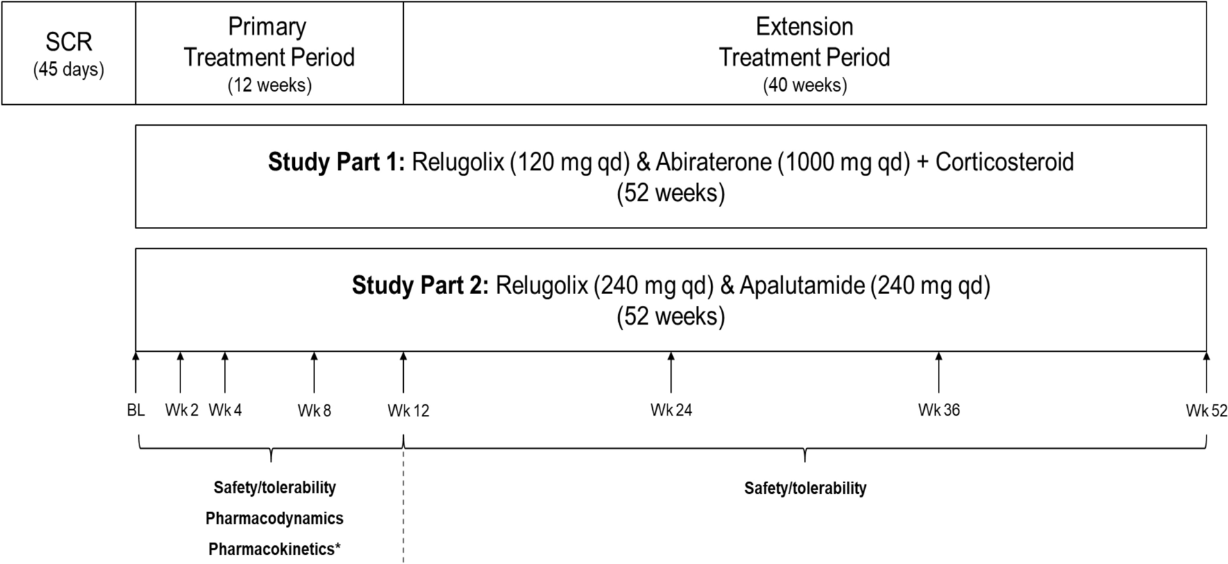 Safety and Tolerability of Relugolix in Combination with Abiraterone or Apalutamide for Treatment of Patients with Advanced Prostate Cancer: Data from a 52-Week Clinical Trial