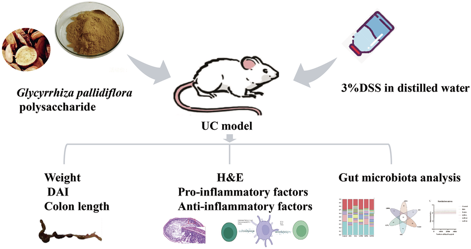 Polysaccharide Ameliorates DSS-Induced Colitis by Protecting Intestinal Barrier Integrity