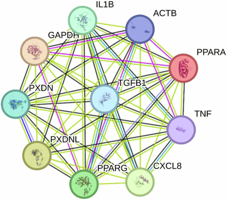 Computational Drug Repurposing Screening Targeting Profibrotic Cytokine in Acute Respiratory Distress Syndrome