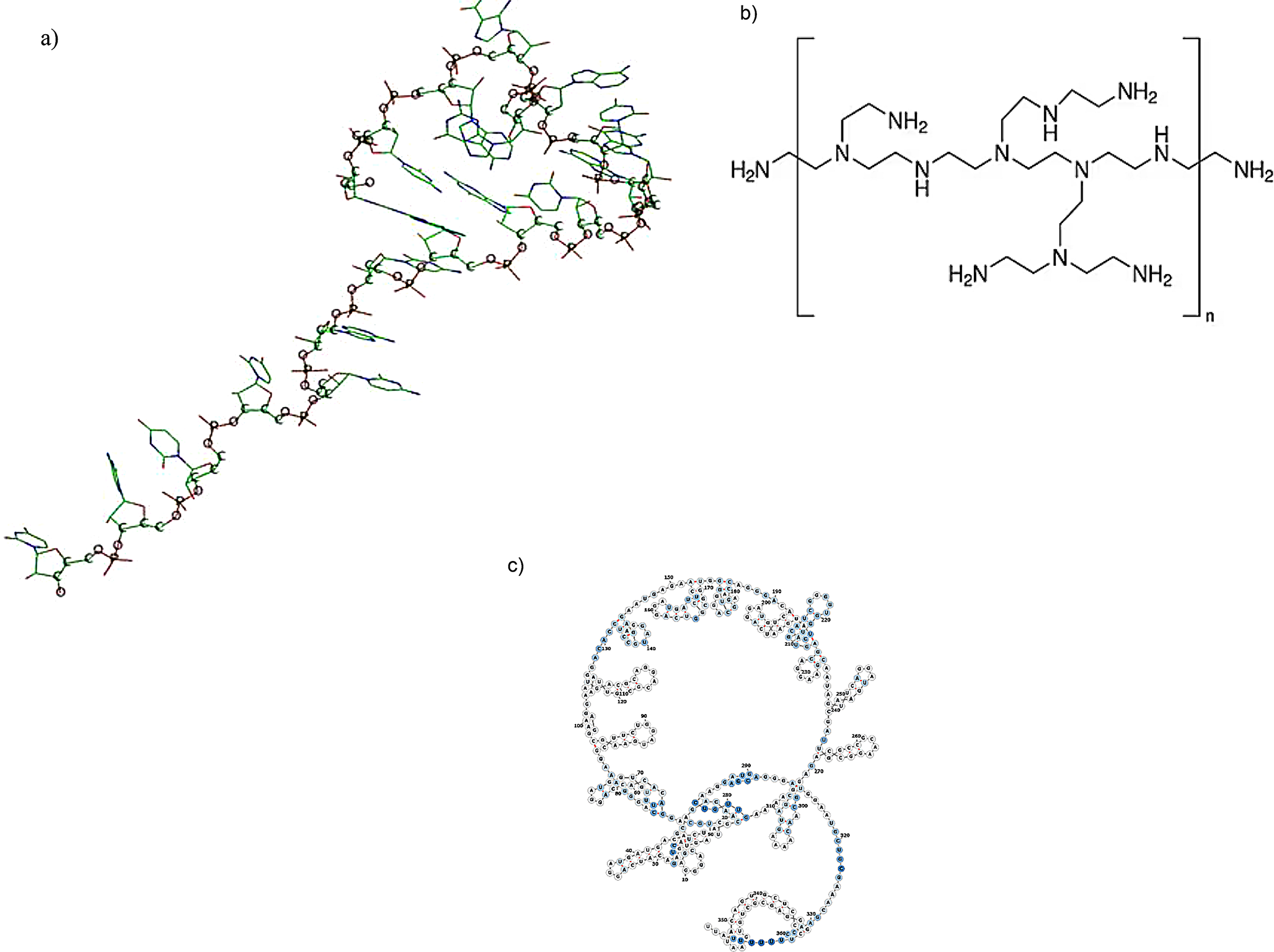 Targeted inhibition of  adhesion using antisense oligonucleotides: an approach to combat bacteria via CsrB targeting