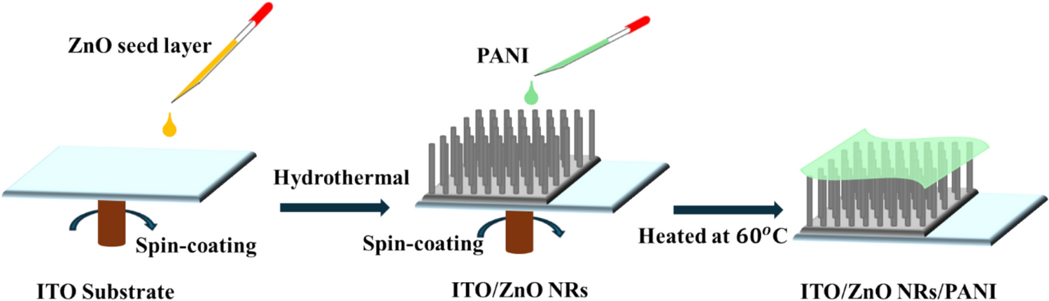 Enhancing the photoelectrochemical properties of ZnO nanorods through cross-linked polyaniline films