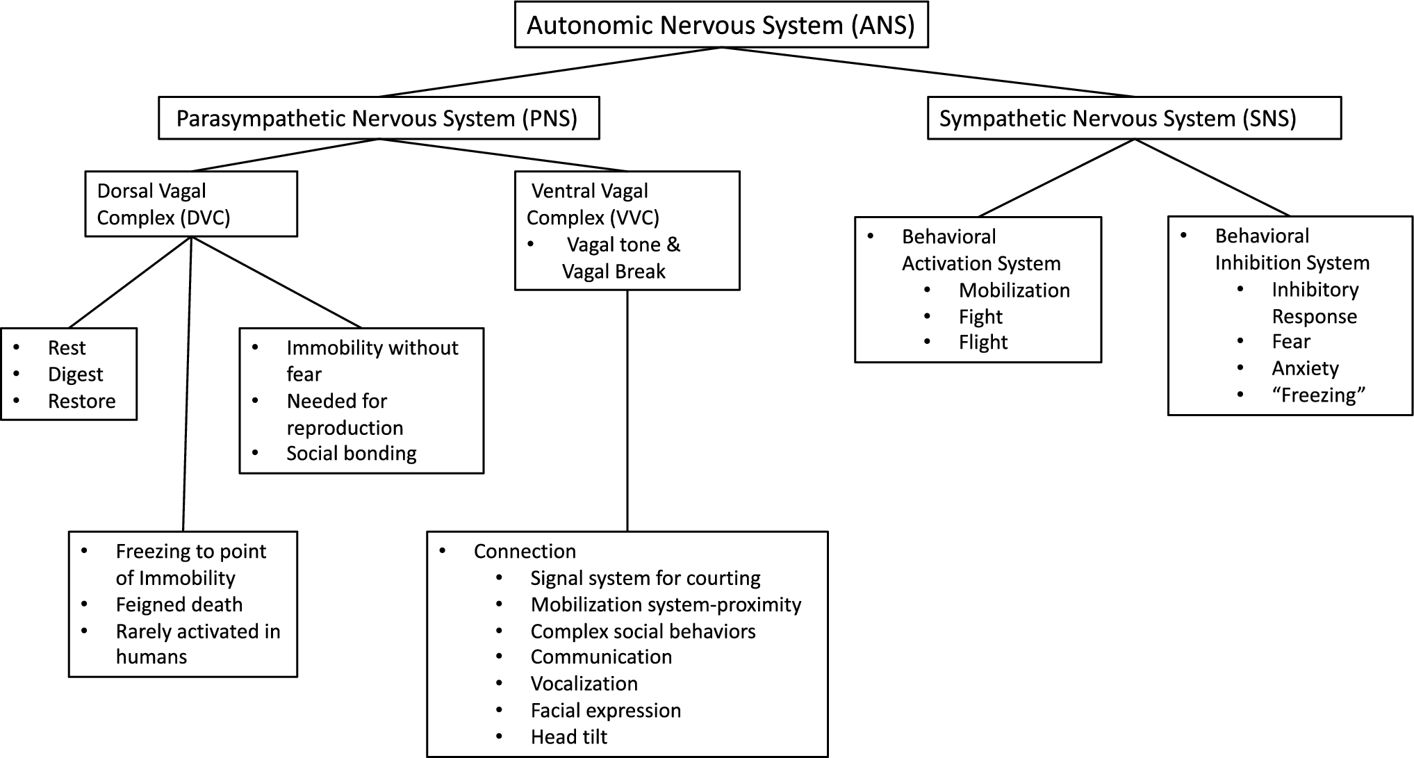A Physio-Relational Model of Couple Therapy